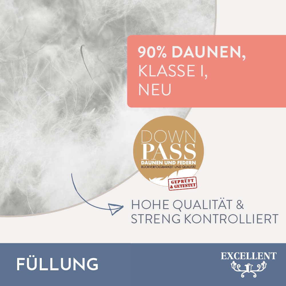 Excellent Daunenbettdecke »Überraschungsbox«, extrawarm, Füllung 90% Daunen, 10% Federn, Bezug Baumwolle, (1 St.), absoluter Sonderpreis, wegen Lagerräumung, Solange der Vorrat reicht