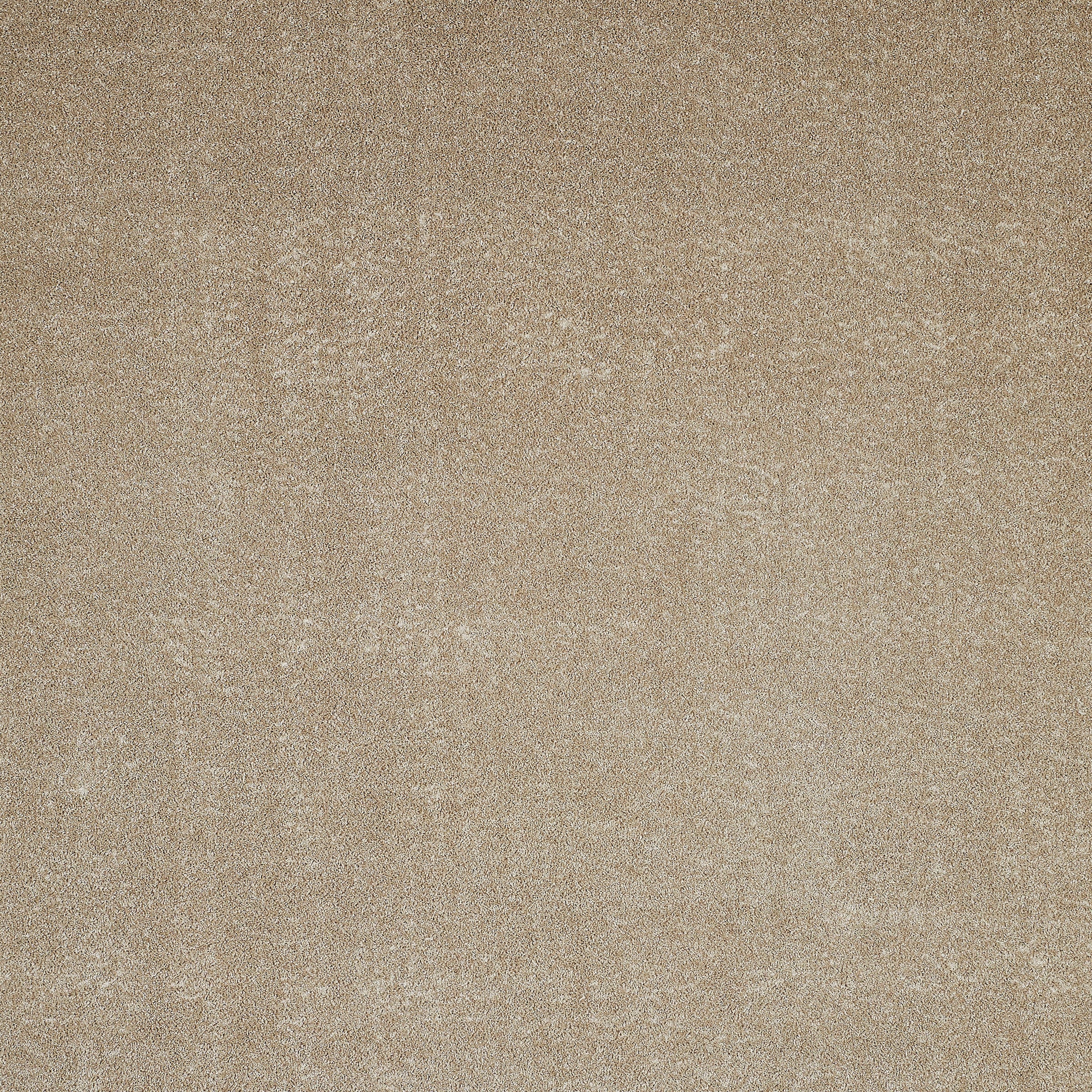 Andiamo Teppichboden »Portland, Velours, Gesamthöhe 11 mm, Made in Netherlands« rechteckig Uni Farben, Breite 400 cm, Wohnzimmer, strapazierfähig, pflegeleicht