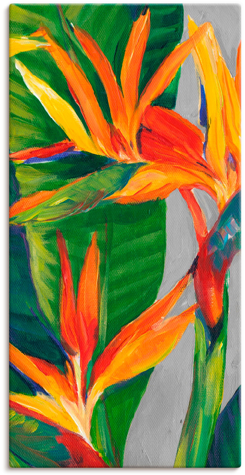 Image of Artland Wandbild »Paradiesvogel II«, Pflanzen, (1 St.), in vielen Grössen & Produktarten - Alubild / Outdoorbild für den Aussenbereich, Leinwandbild, Poster, Wandaufkleber / Wandtattoo auch für Badezimmer geeignet bei Ackermann Versand Schweiz