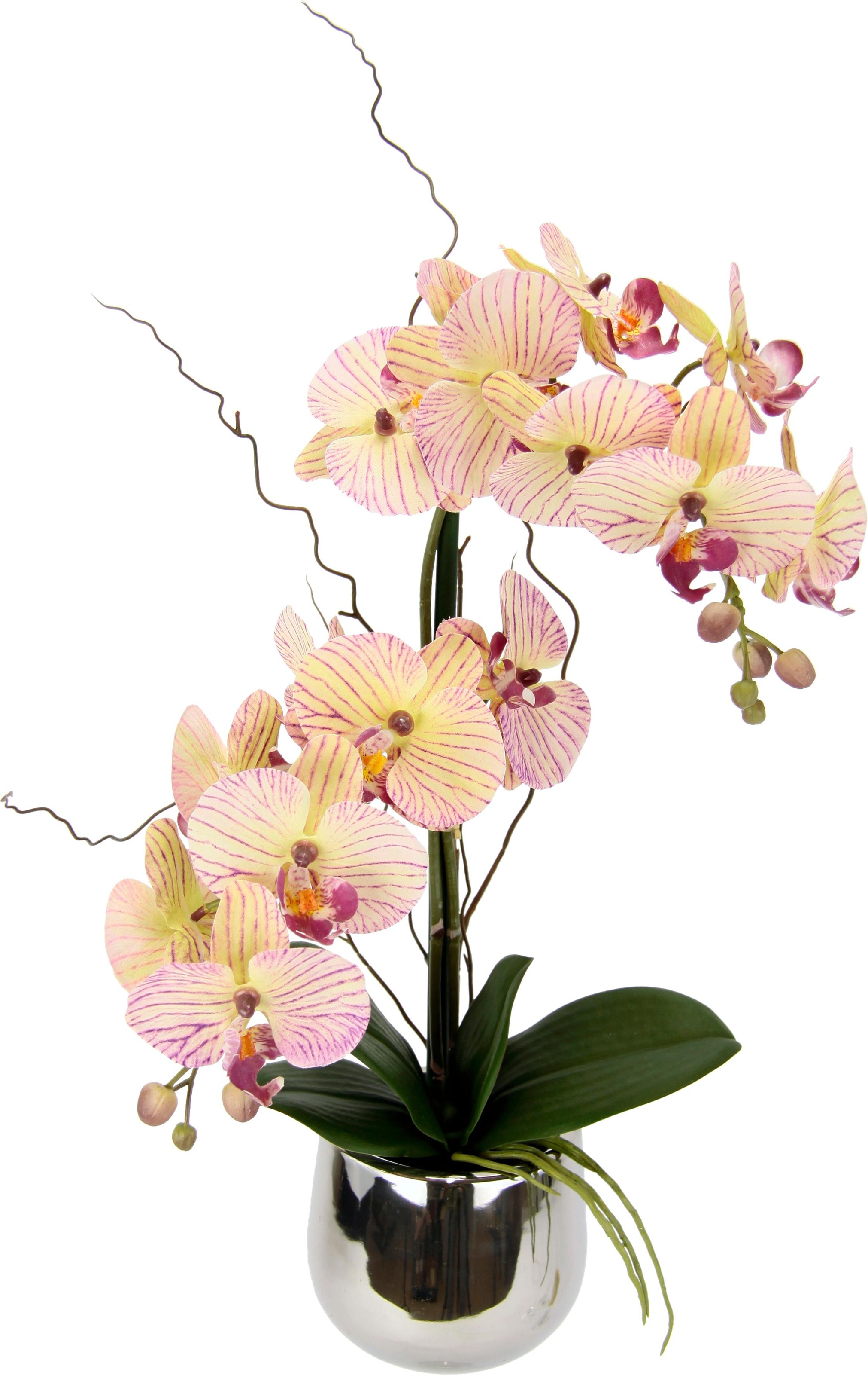 Image of I.GE.A. Kunstpflanze »Phalaenopsis im Topf«, (1 St.) bei Ackermann Versand Schweiz