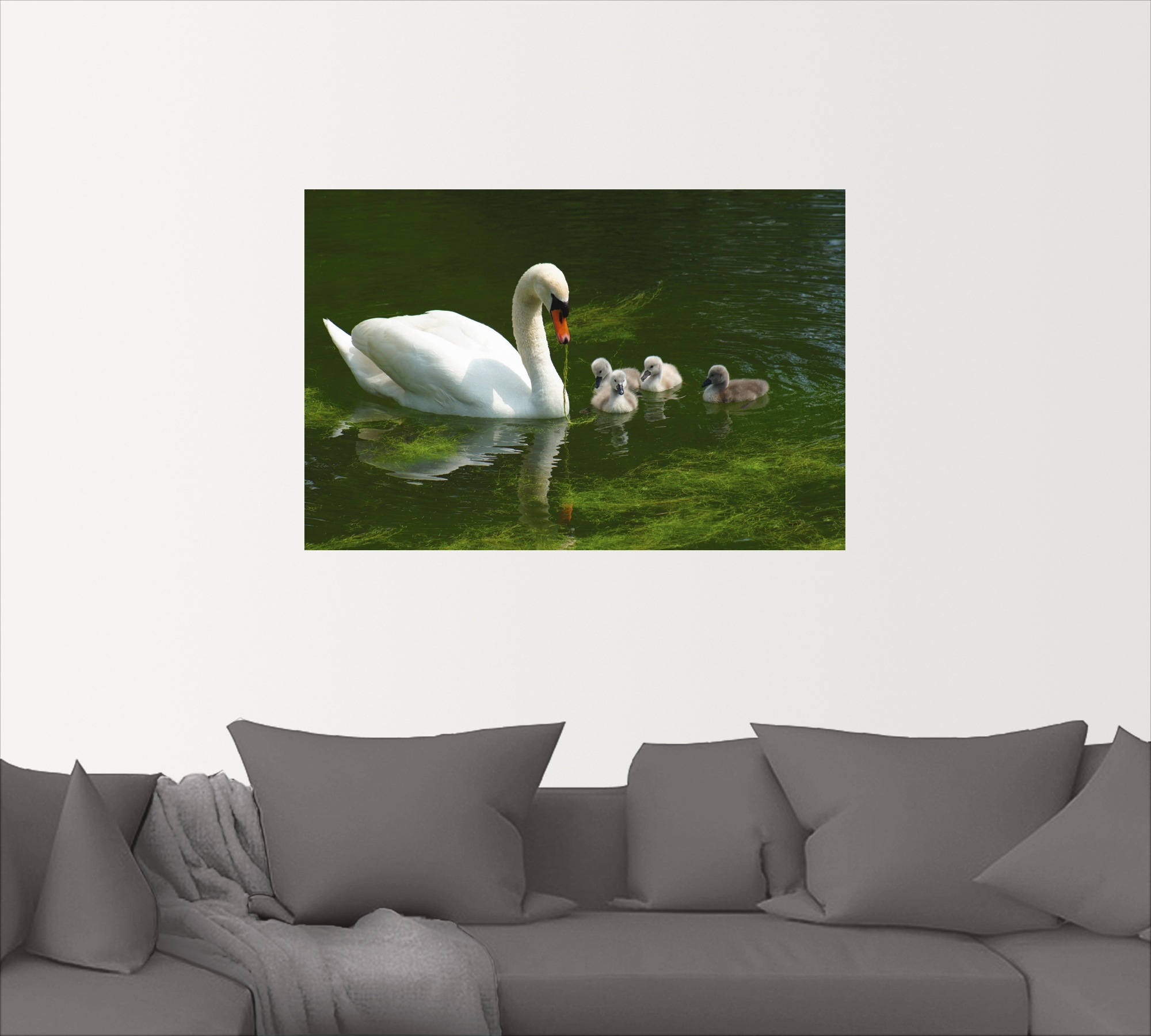 Artland Wandbild oder als Familie«, in (1 Leinwandbild, versch. Poster »Schwanen Wandaufkleber Alubild, St.), Grössen kaufen Vögel