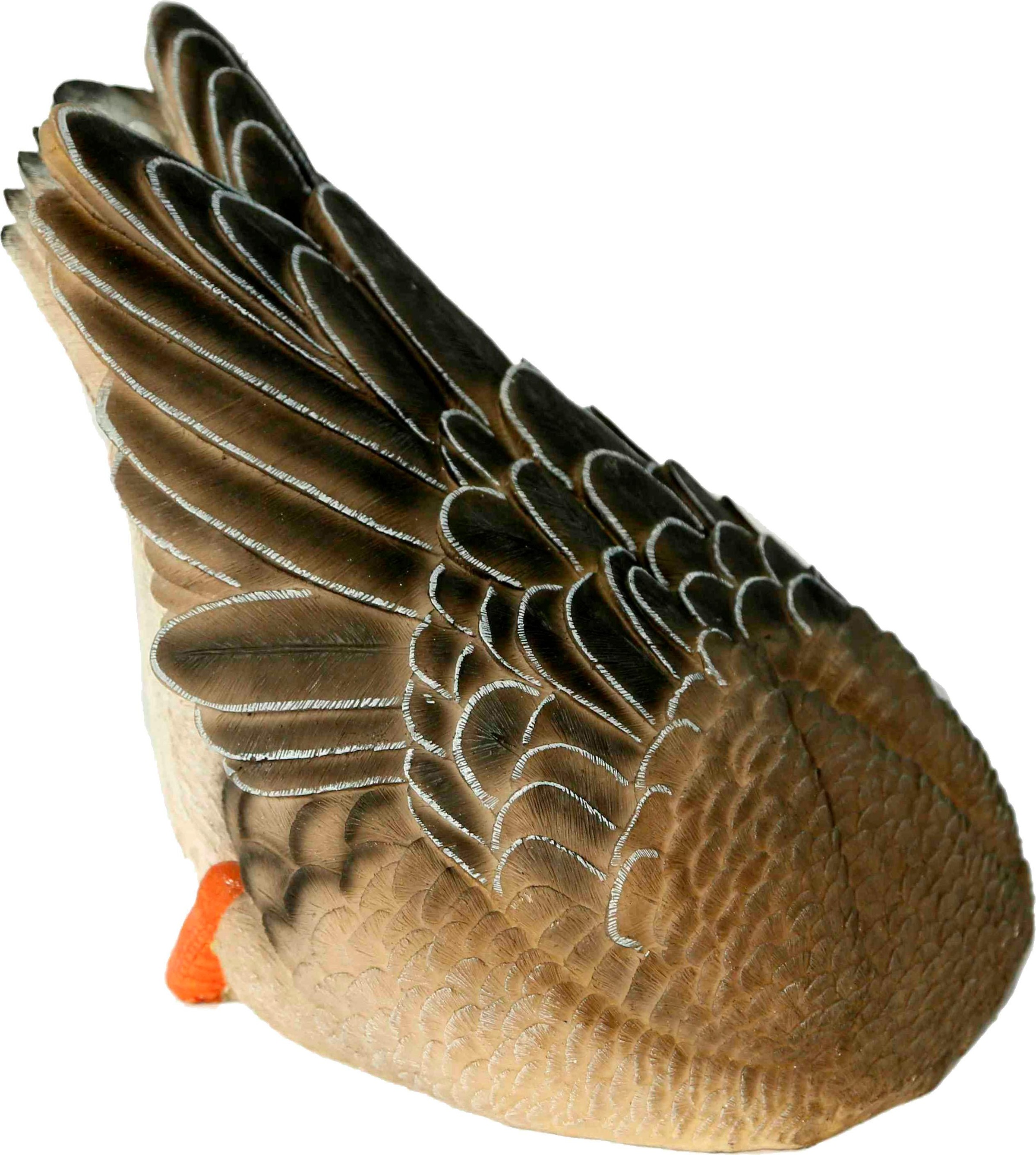 Image of Casa Collection by Jänig Tierfigur, Ente unter Wasser, schwimmend, Breite ca. 29 cm bei Ackermann Versand Schweiz