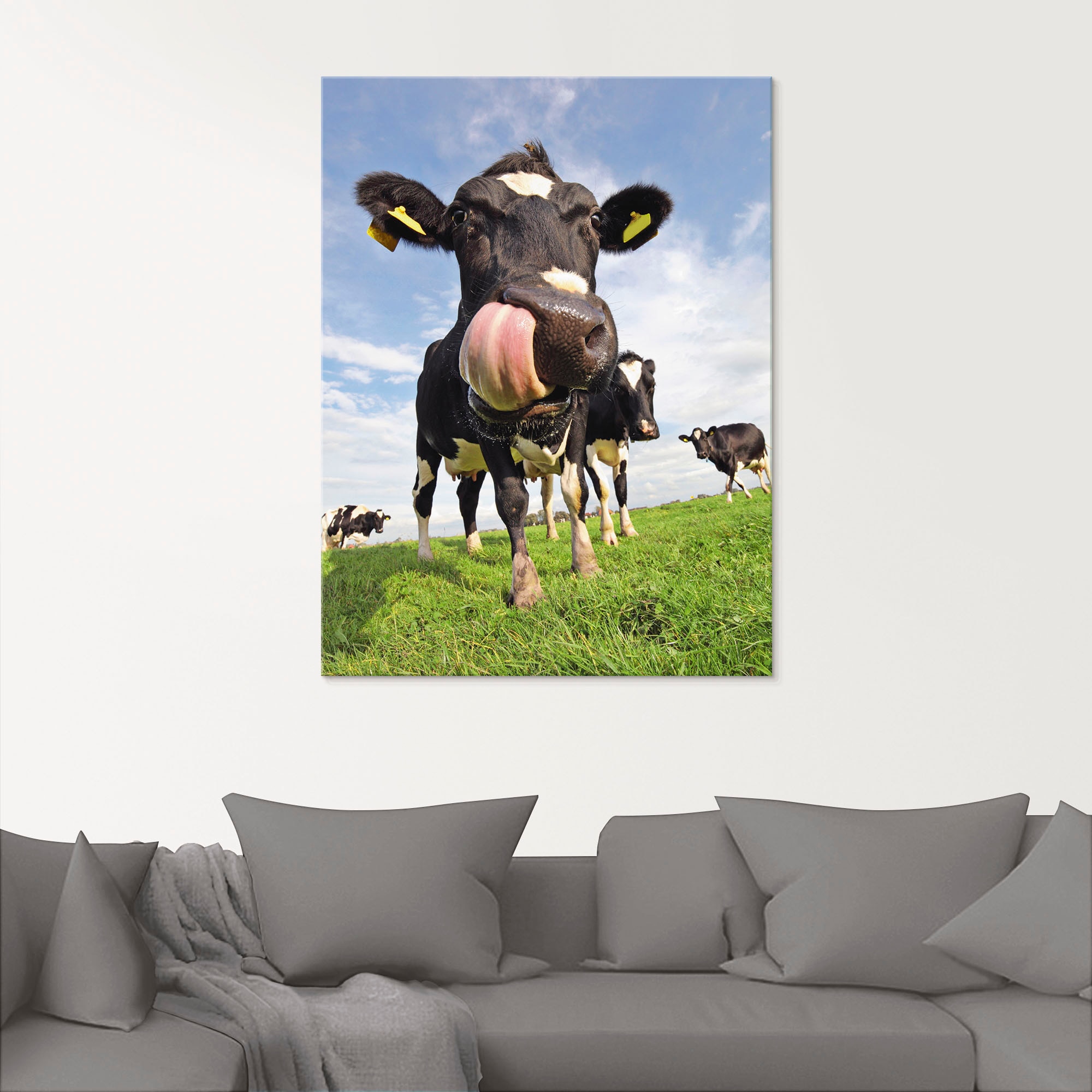 Artland Glasbild »Holstein-Kuh mit gewaltiger kaufen (1 Zunge«, Haustiere, bequem in St.), Grössen verschiedenen