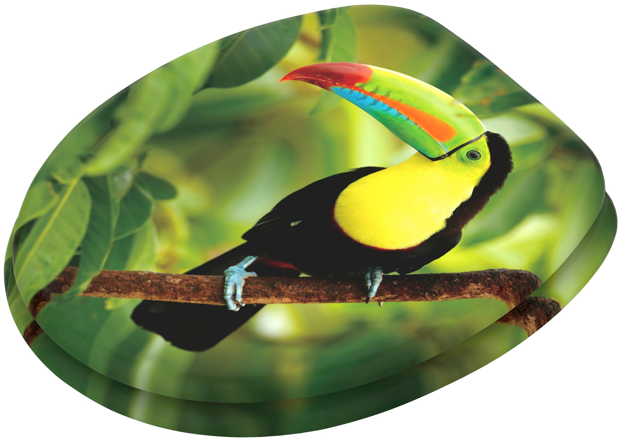 Sanilo WC-Sitz »Toucan« mit Absenkautomatik, BxL: 37,7 x 42,0 - 47,0 cm