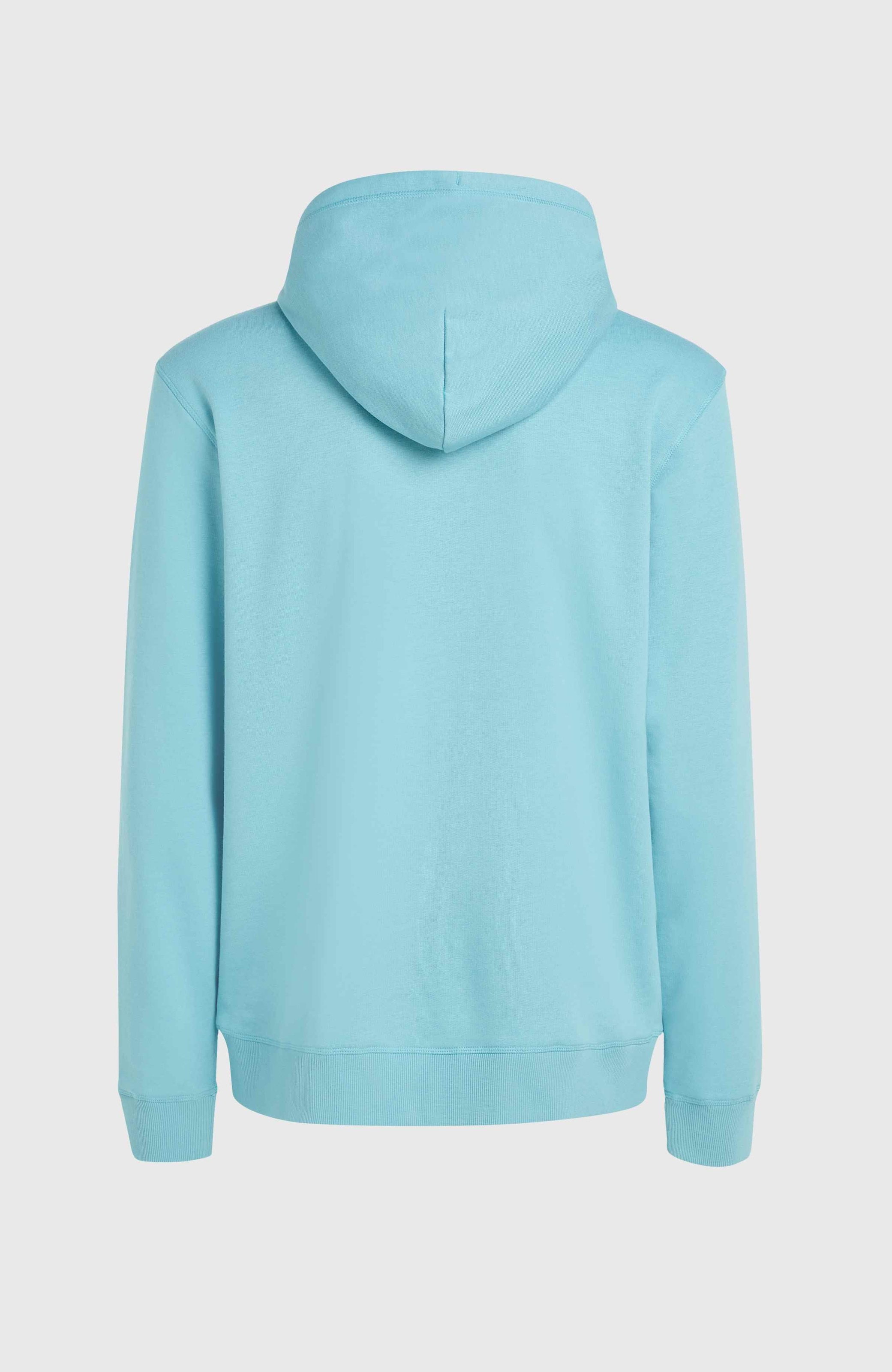 O'Neill Kapuzensweatshirt »O'NEILL LOGO HOODIE«, mit Logodruck
