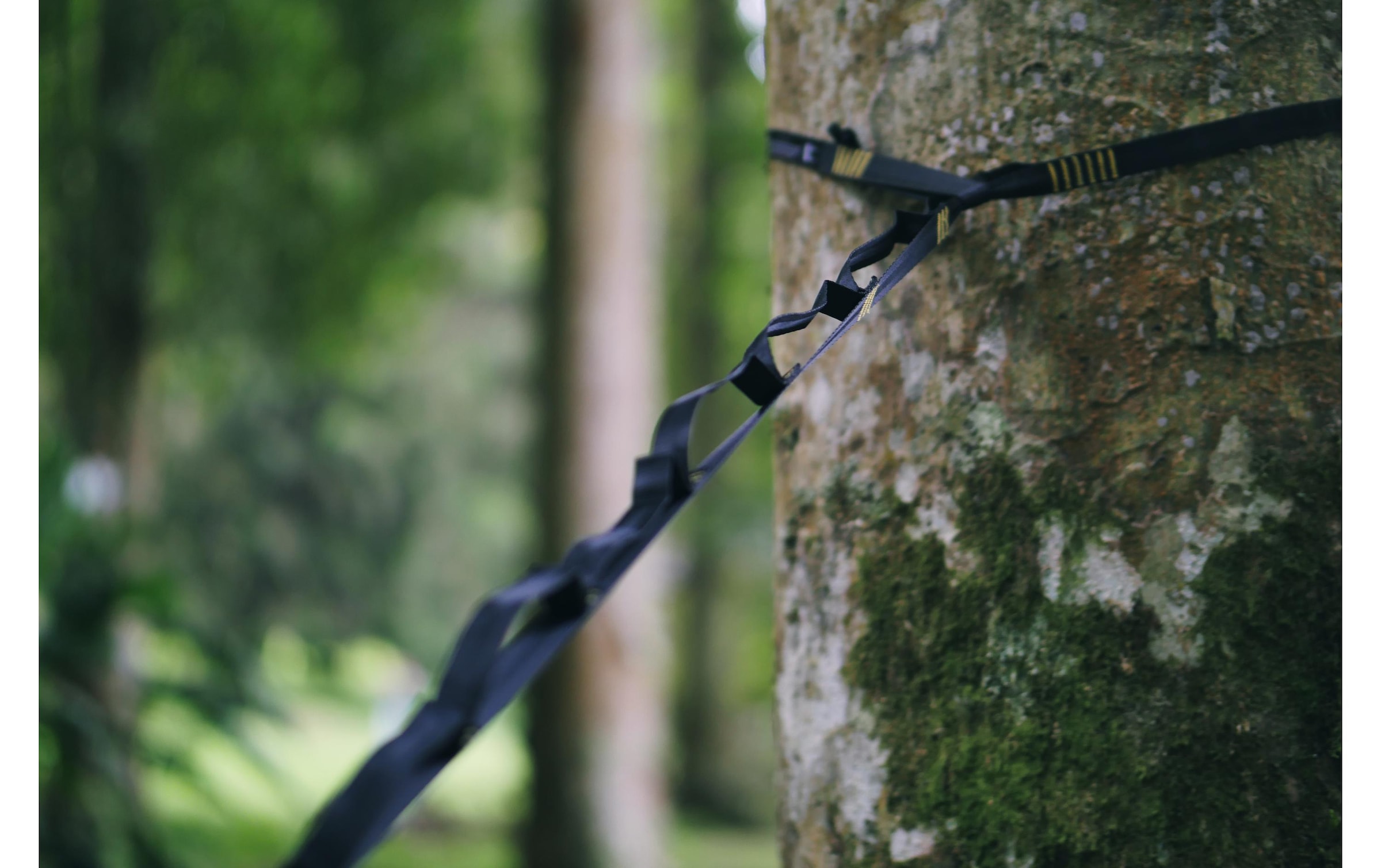   Wandhalter »ticket to the moon Moonstraps«