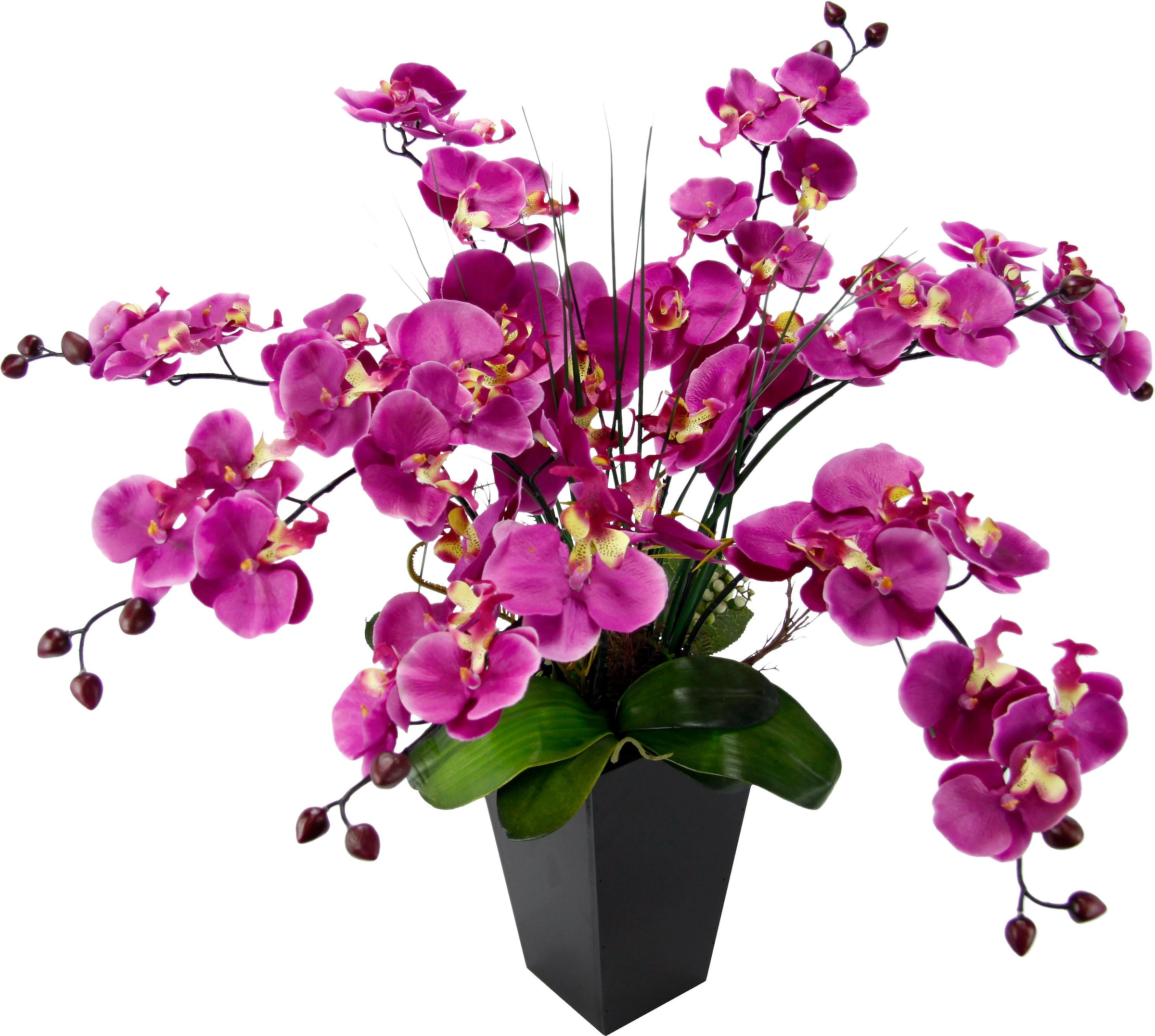 Image of I.GE.A. Kunstpflanze »Phalaenopsis im Topf« bei Ackermann Versand Schweiz
