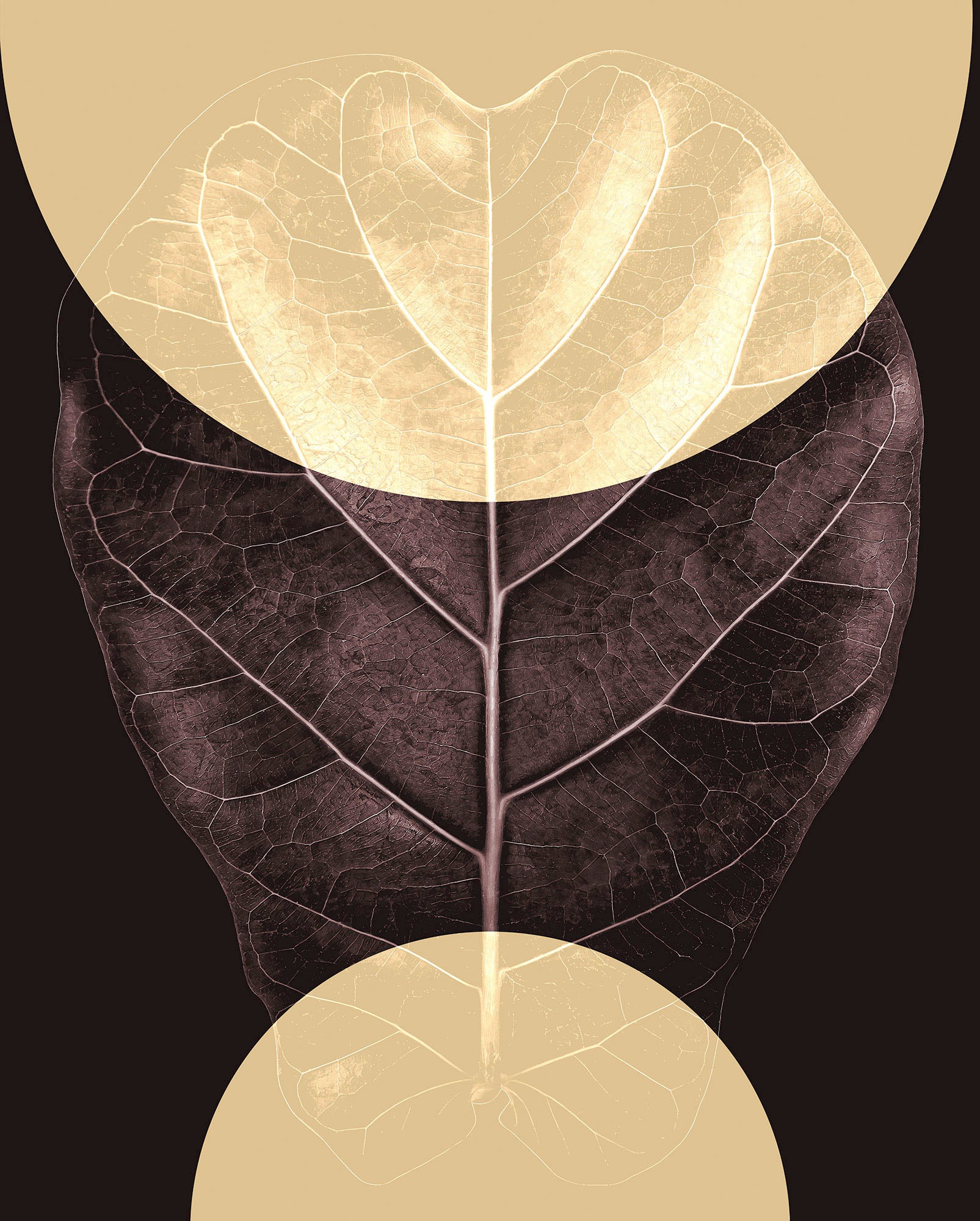 Image of Komar Wandbild »Shadow Theatre«, (1 St.), Deutsches Premium-Poster Fotopapier mit seidenmatter Oberfläche und hoher Lichtbeständigkeit. Für fotorealistische Drucke mit gestochen scharfen Details und hervorragender Farbbrillanz. bei Ackermann Versand Schwe