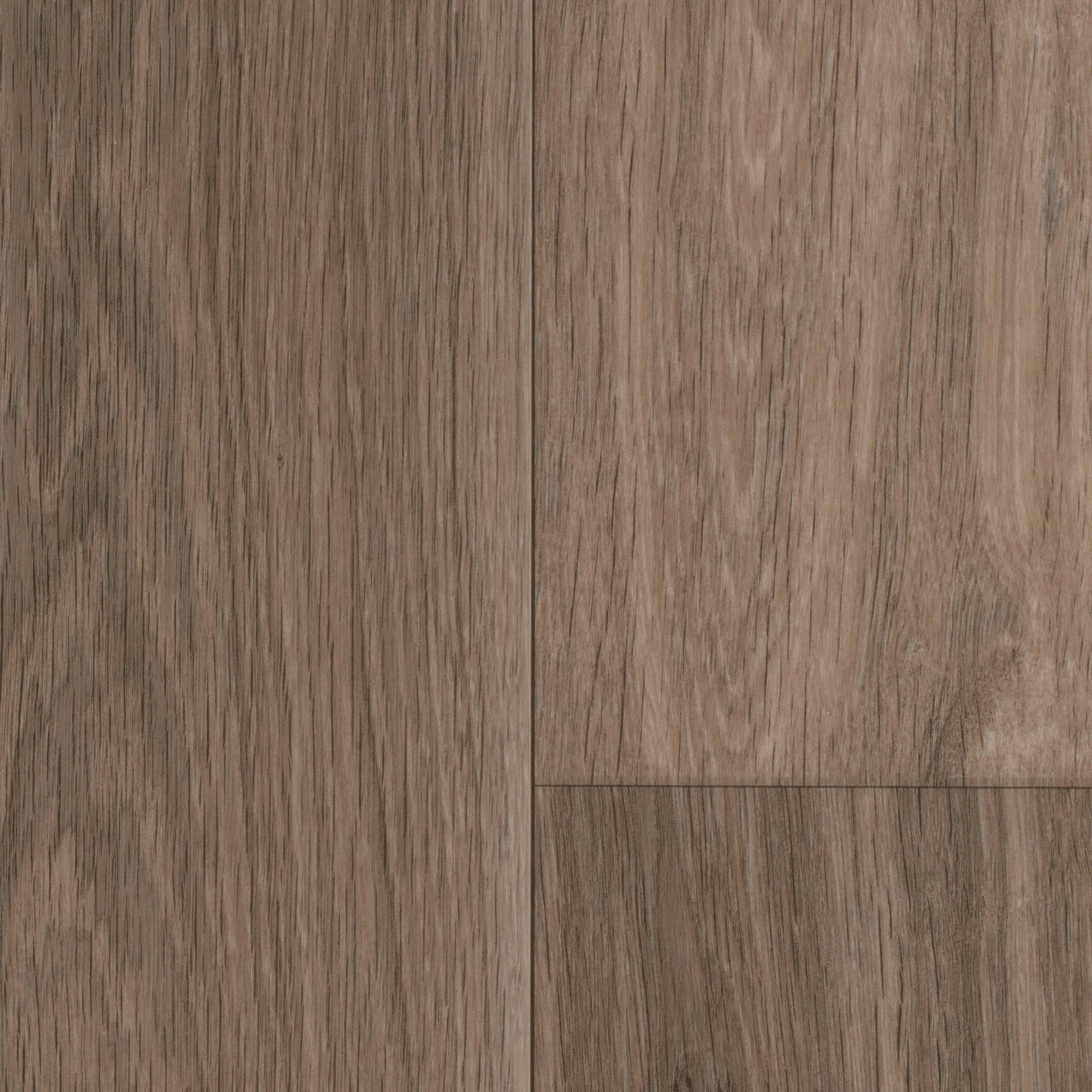 Image of Bodenmeister Vinylboden »PVC Bodenbelag Holzoptik Diele Eiche dunkel-braun grau«, Meterware, Breite 200/300/400 cm bei Ackermann Versand Schweiz