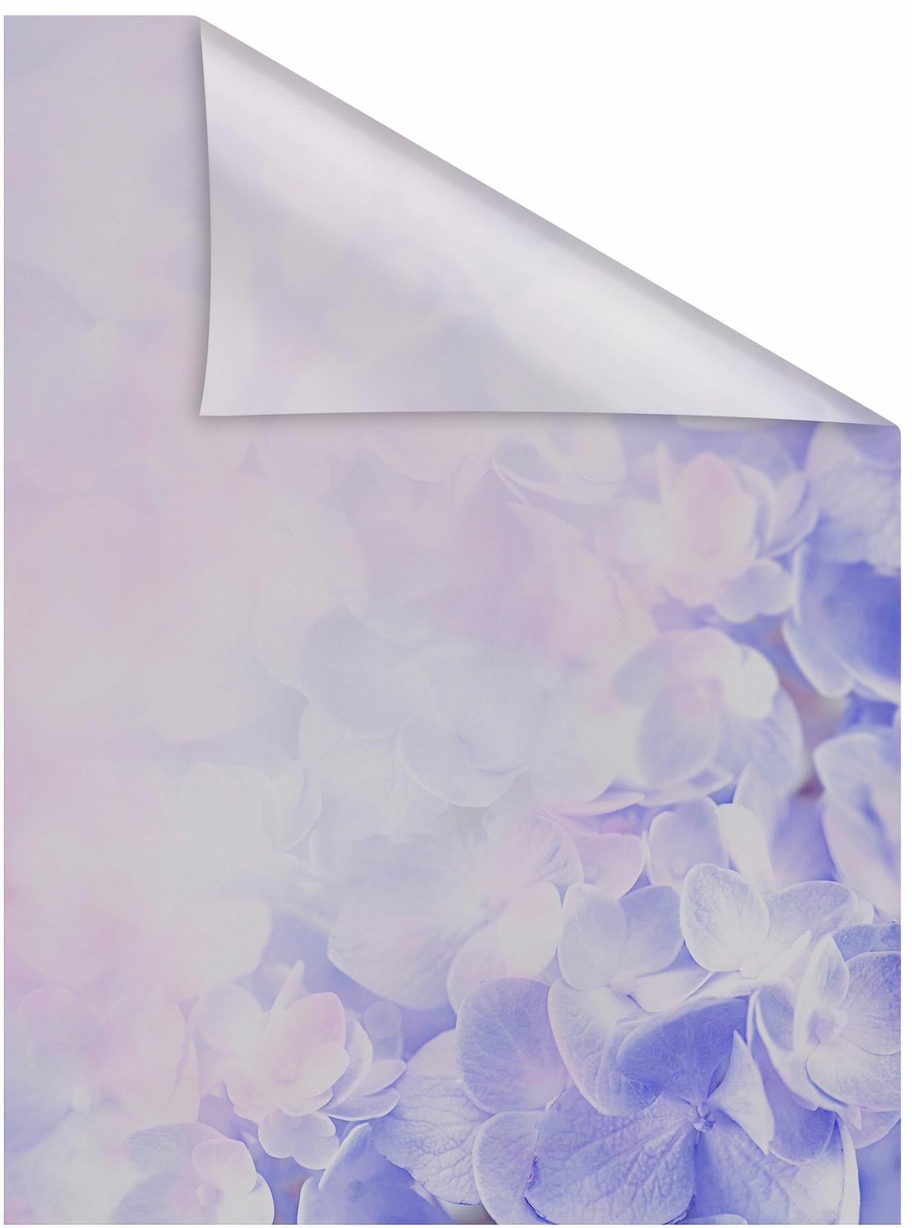 Image of LICHTBLICK ORIGINAL Fensterfolie "Hortensie" 1 Stk. blickdicht strukturiert Klebepunkte selbstklebend, Sichtschutz