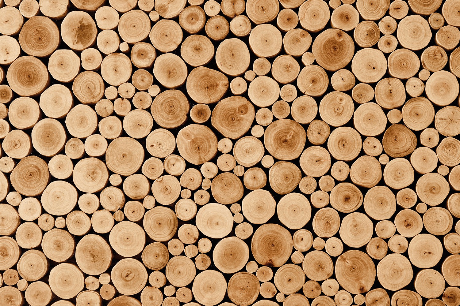 Image of Papermoon Fototapete »Round Teak Wood« bei Ackermann Versand Schweiz