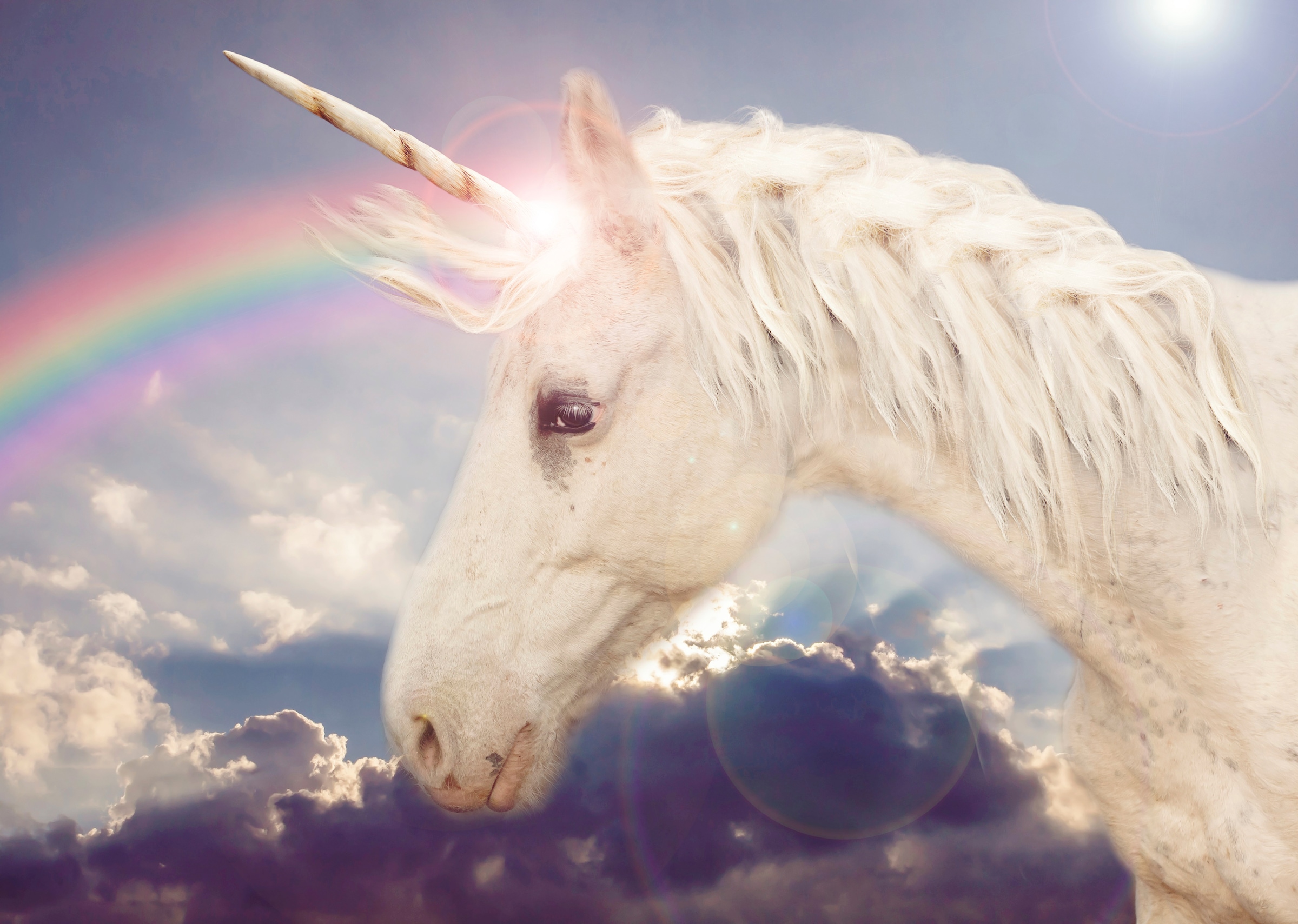 Image of Papermoon Fototapete "Unicorn Rainbow" glatt