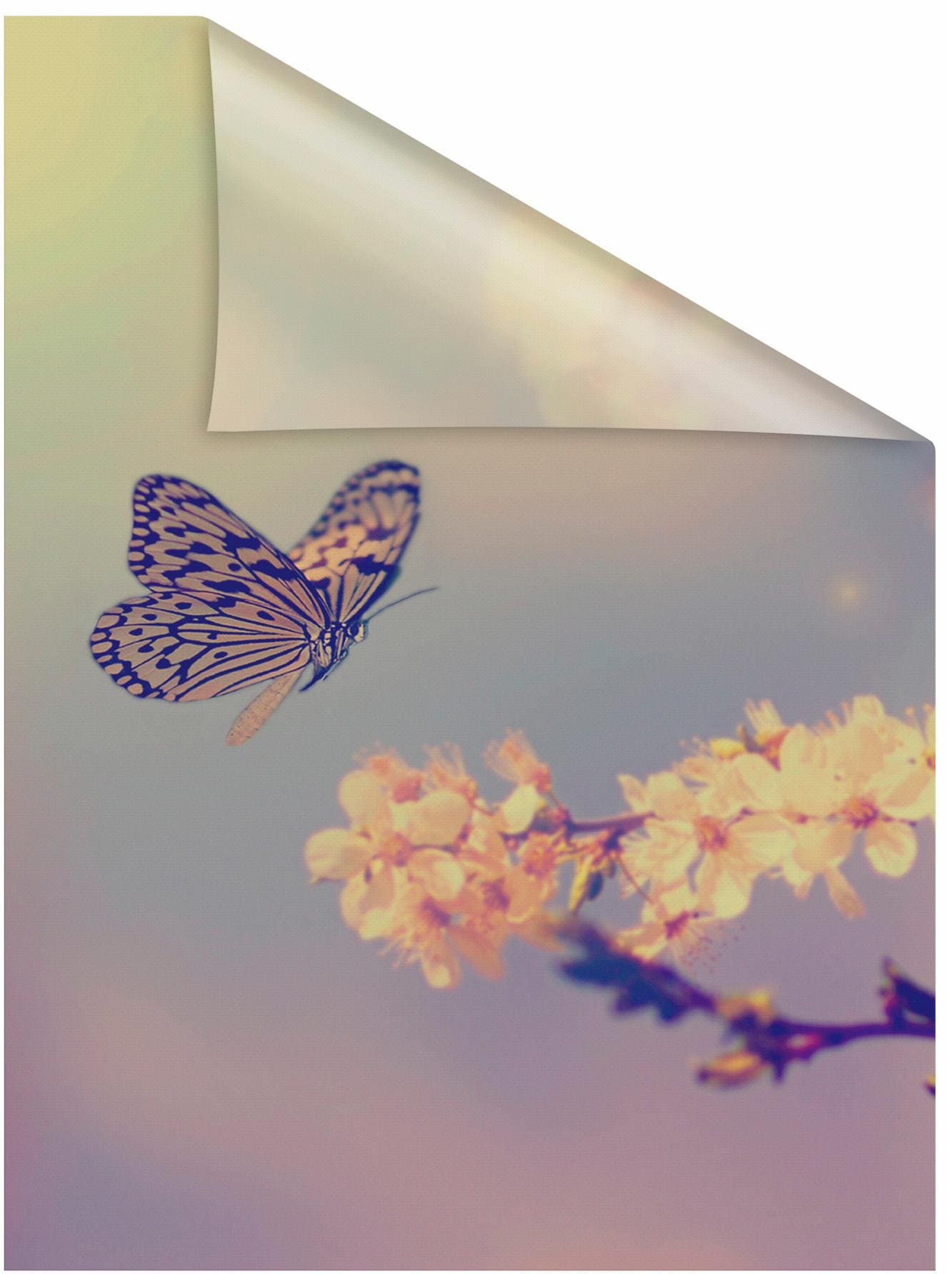Image of LICHTBLICK ORIGINAL Fensterfolie "Schmetterling Blüte" 1 Stk. blickdicht strukturiert Klebepunkte selbstklebend, Sichtschutz