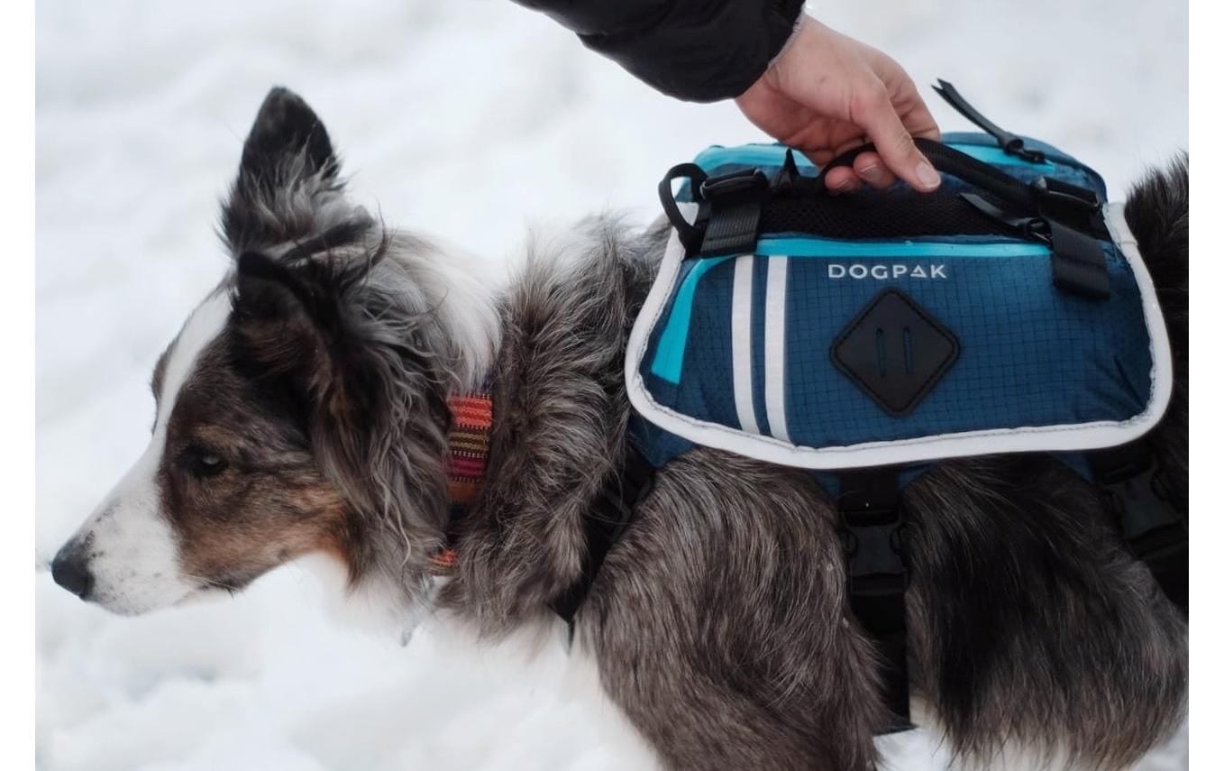   Hunde-Geschirr »DOGPAK Moab Lite Hunderucksack M« Rucksack und Wandergeschirr für Hunde aus «Die Höhle der Löwen»