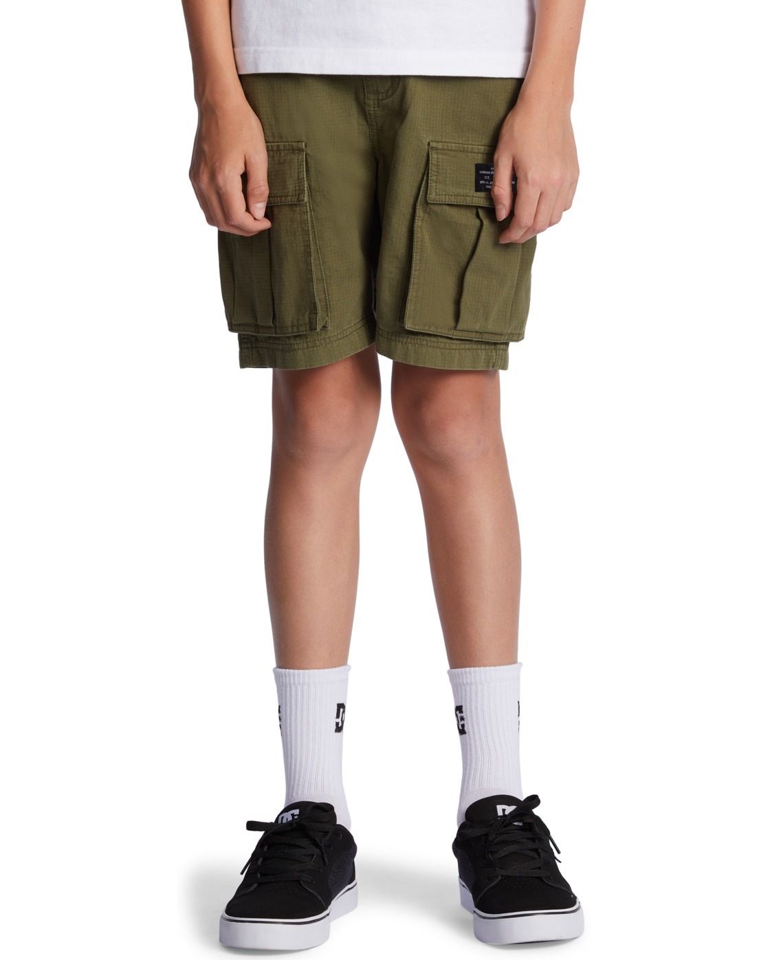 Image of DC Shoes Cargoshorts "Tundra"