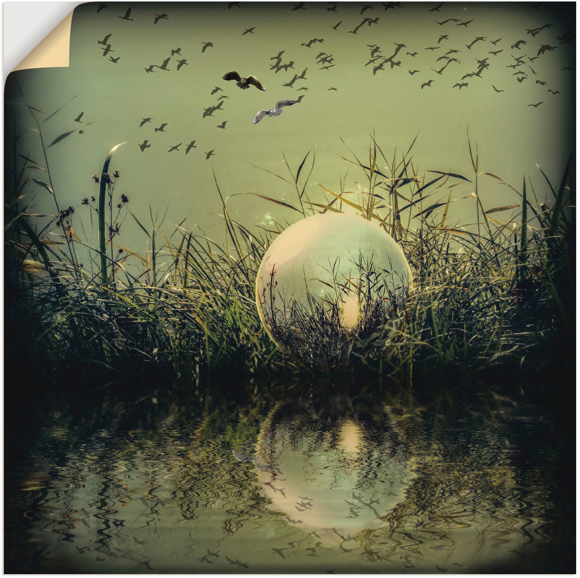Image of Artland Wandbild »In der Glaskugel - Mystische Au«, Landschaften, (1 St.), in vielen Grössen & Produktarten - Alubild / Outdoorbild für den Aussenbereich, Leinwandbild, Poster, Wandaufkleber / Wandtattoo auch für Badezimmer geeignet bei Ackermann Versand 