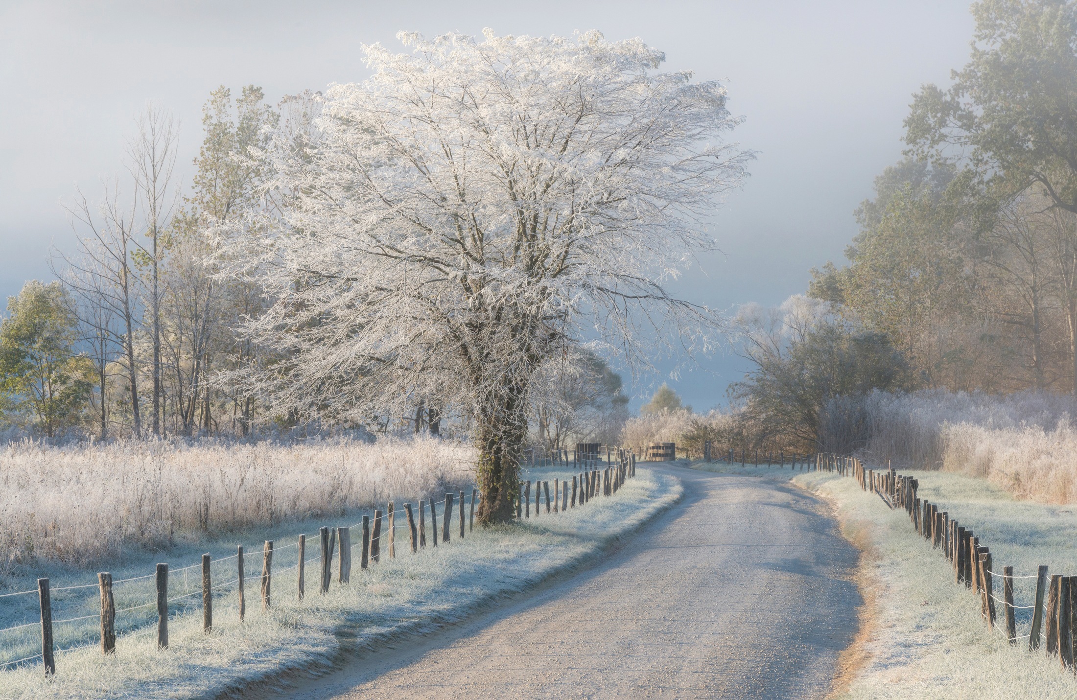 Image of Papermoon Fototapete »Photo-Art CHRIS MOORE, EIN FROSTIGER MORGEN«, Vliestapete, hochwertiger Digitaldruck, inklusive Kleister bei Ackermann Versand Schweiz