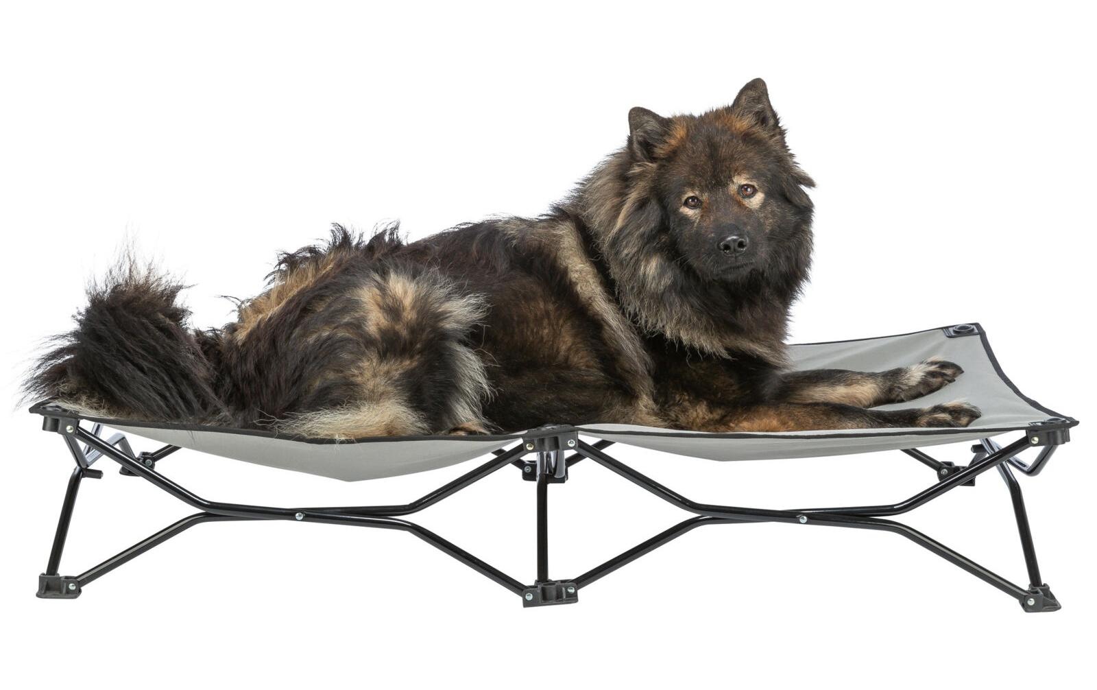 TRIXIE Hundebett »Camping-Bett für Hunde bis 50 kg«