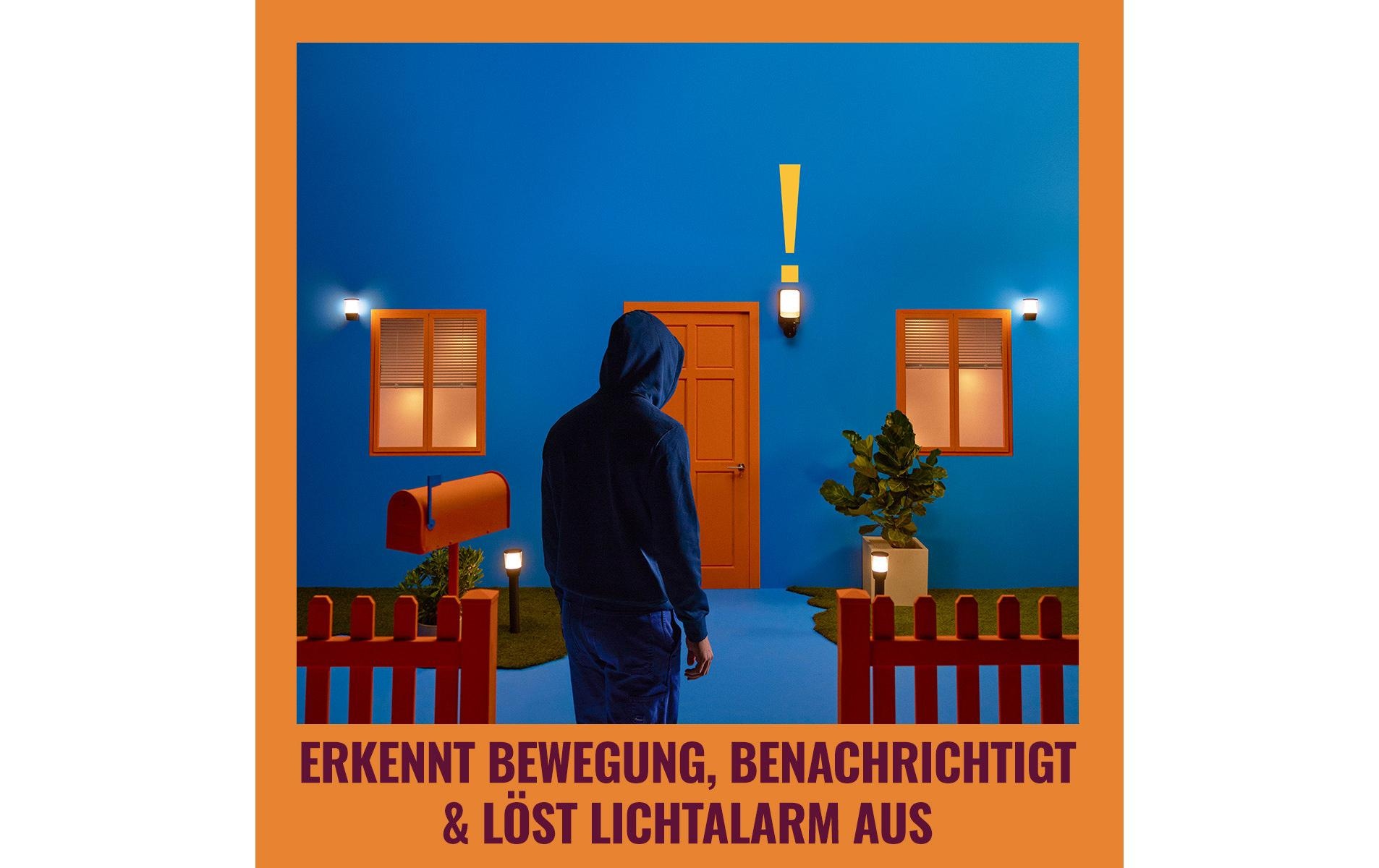 WiZ Outdoor-Kamera »Einzelpack« , 2