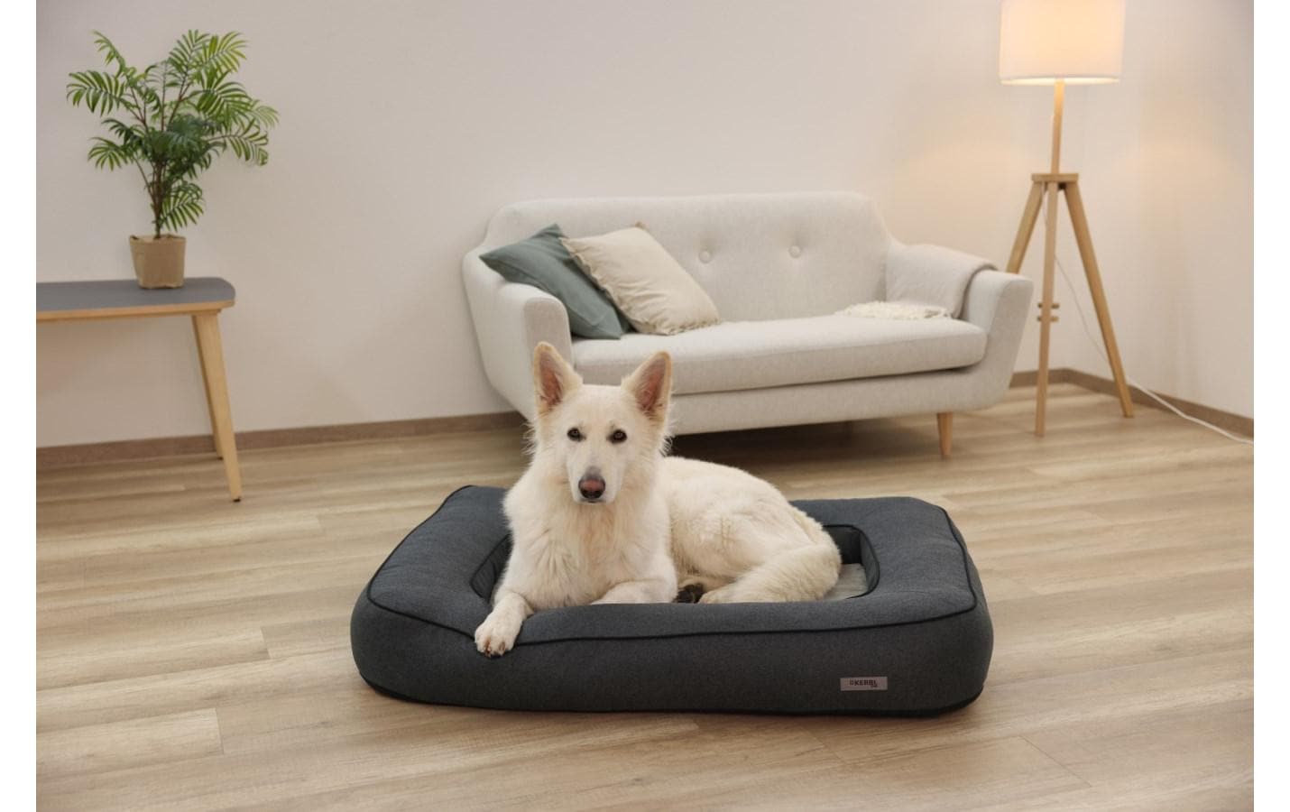 Kerbl Hundebett »Hunde-Bett Platin Ortho eckig«