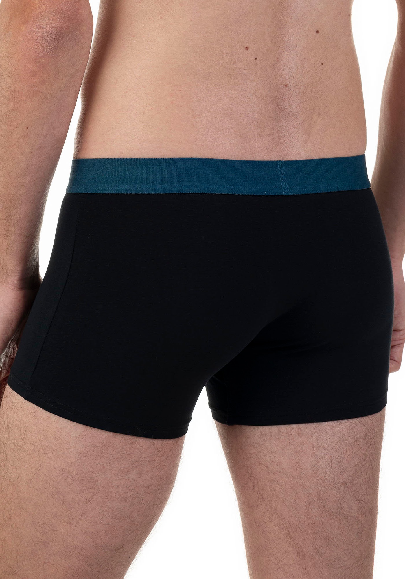 Bruno Banani Boxer, (2er Pack), mit kontrastreichem Logobund