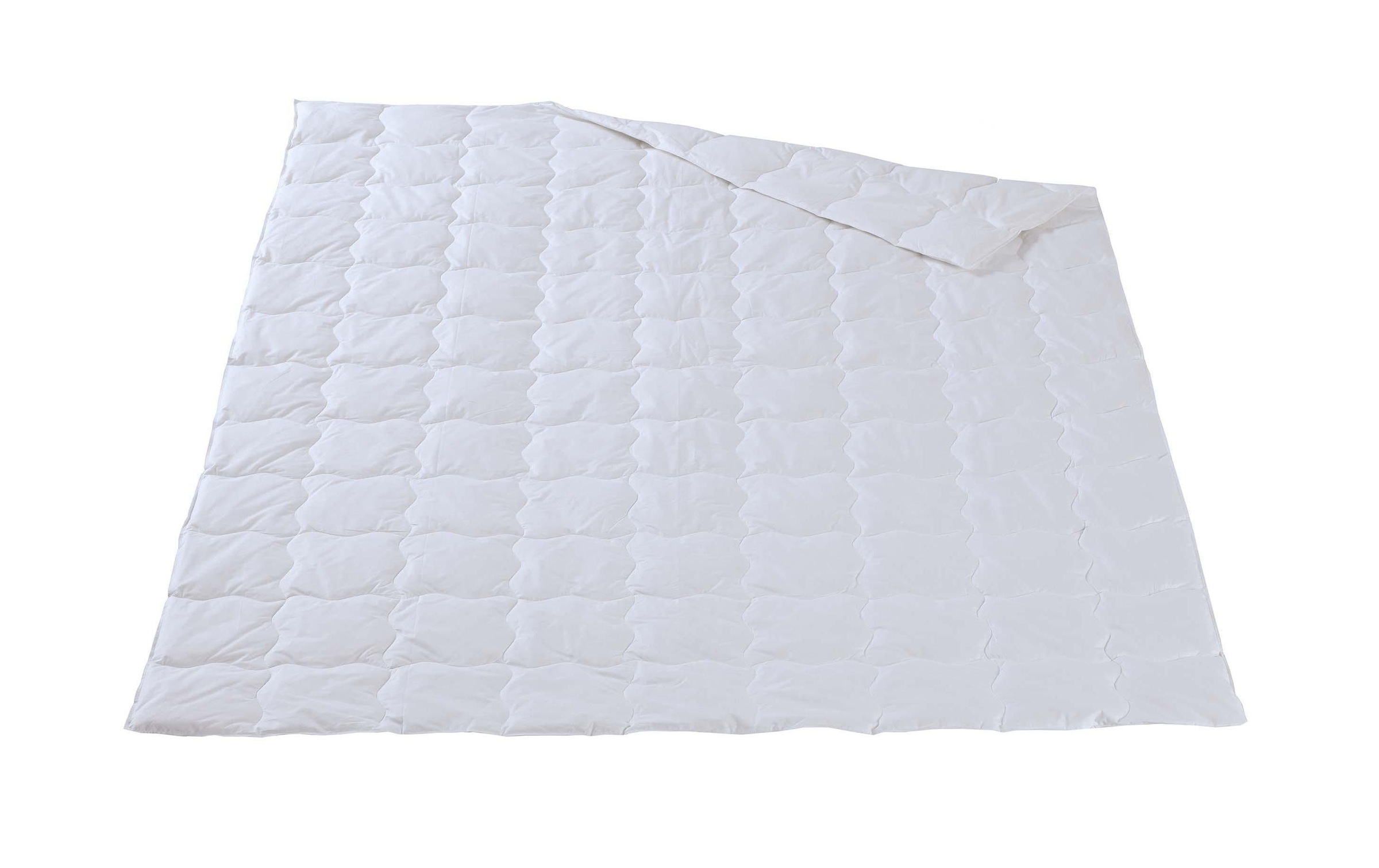 Image of DOR Einziehdecke »Kalmia Classic Leicht«, leicht, (1 St.) bei Ackermann Versand Schweiz