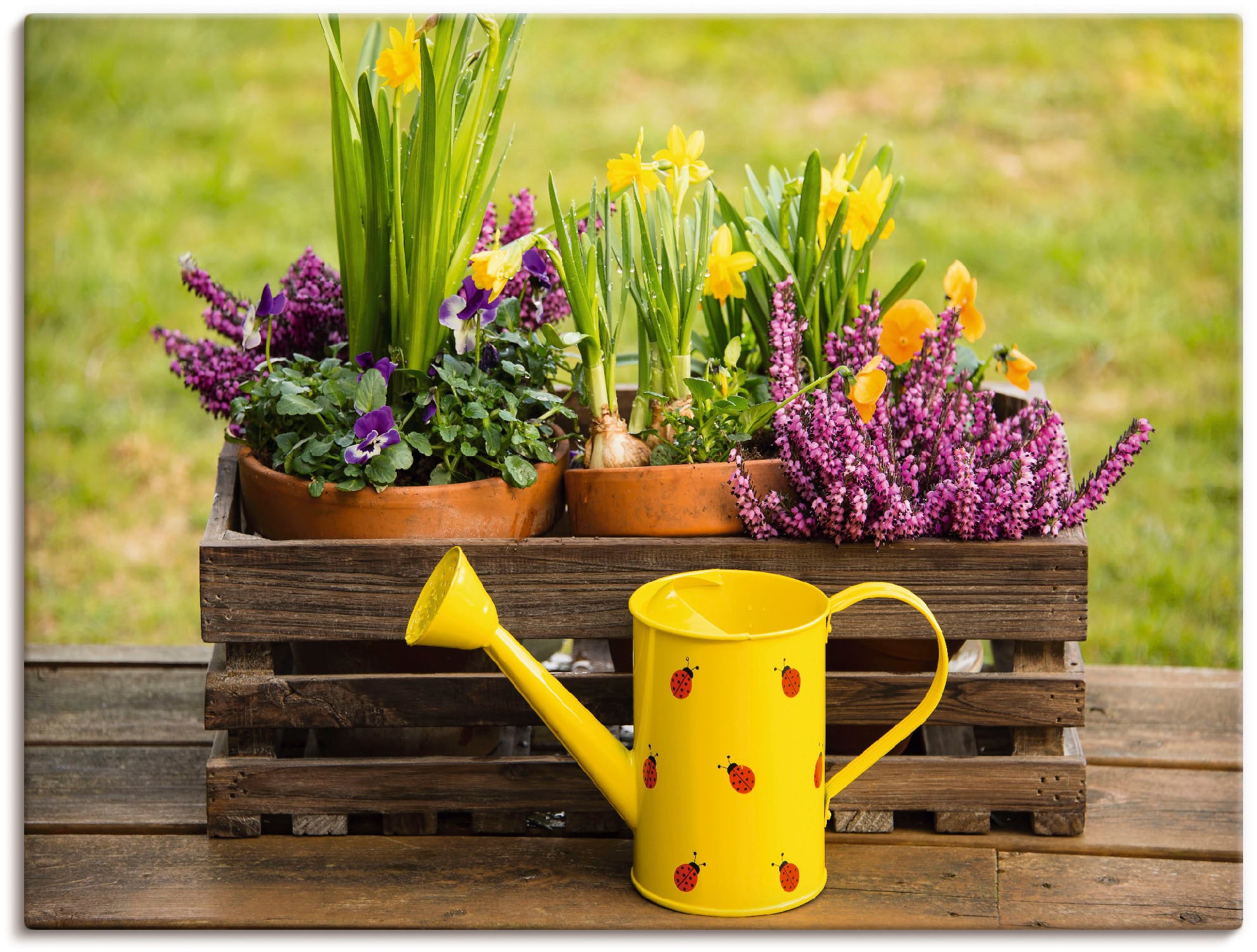 Image of Artland Wandbild »Holzkiste Heidekraut Narzissen Giesskanne«, Vasen & Töpfe, (1 St.), in vielen Grössen & Produktarten - Alubild / Outdoorbild für den Aussenbereich, Leinwandbild, Poster, Wandaufkleber / Wandtattoo auch für Badezimmer geeignet bei Ackerma