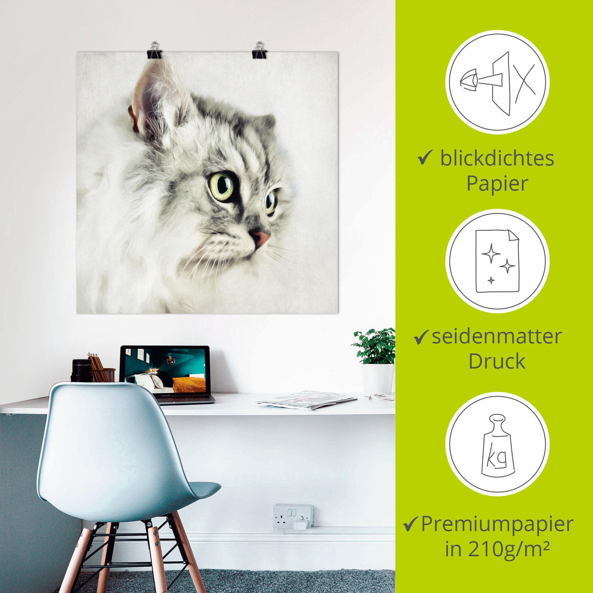 Artland Wandbild »Katzenporträt«, Haustiere, (1 St.), als Leinwandbild, Poster, Wandaufkleber in verschied. Grössen