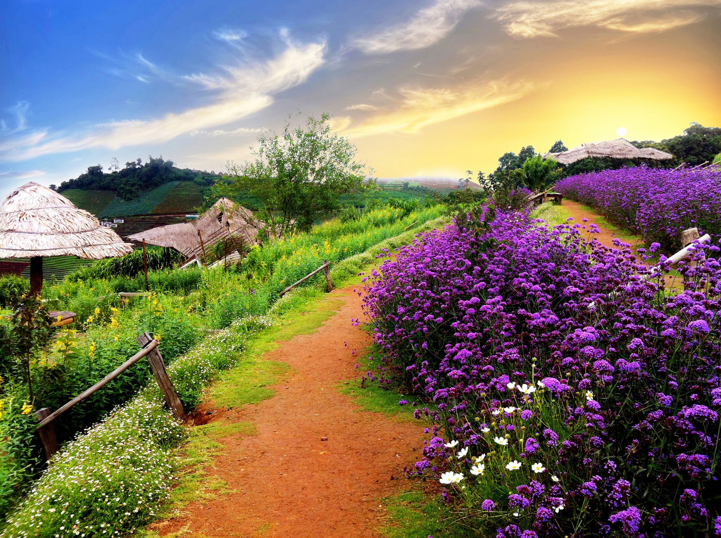 Image of Papermoon Fototapete "BUNTE BLUMEN-THAILAND PFLANZE DEKOR NATUR BLÜTE MUSTER"