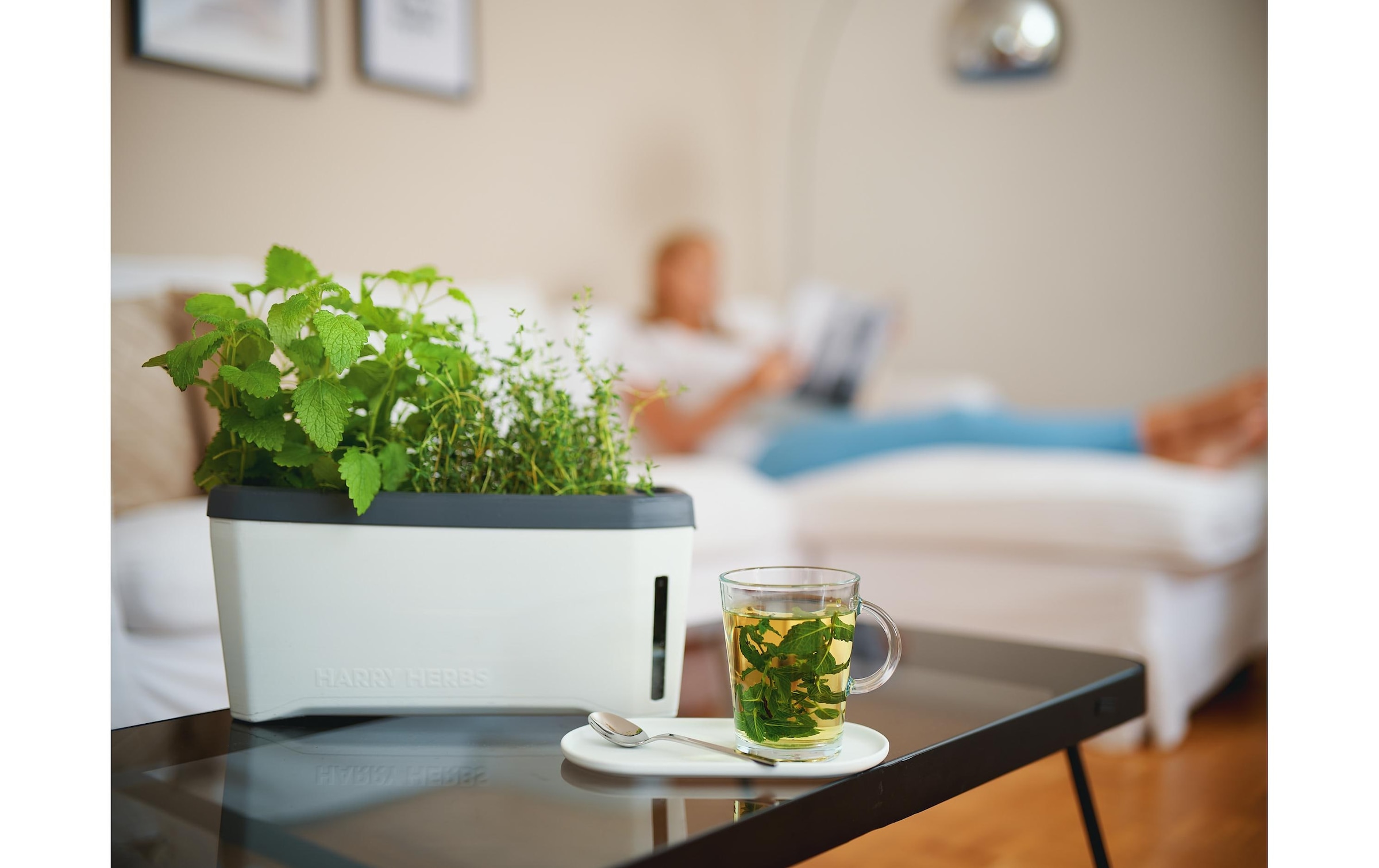 Gusta Garden Kräutertopf »HERBS weiss«