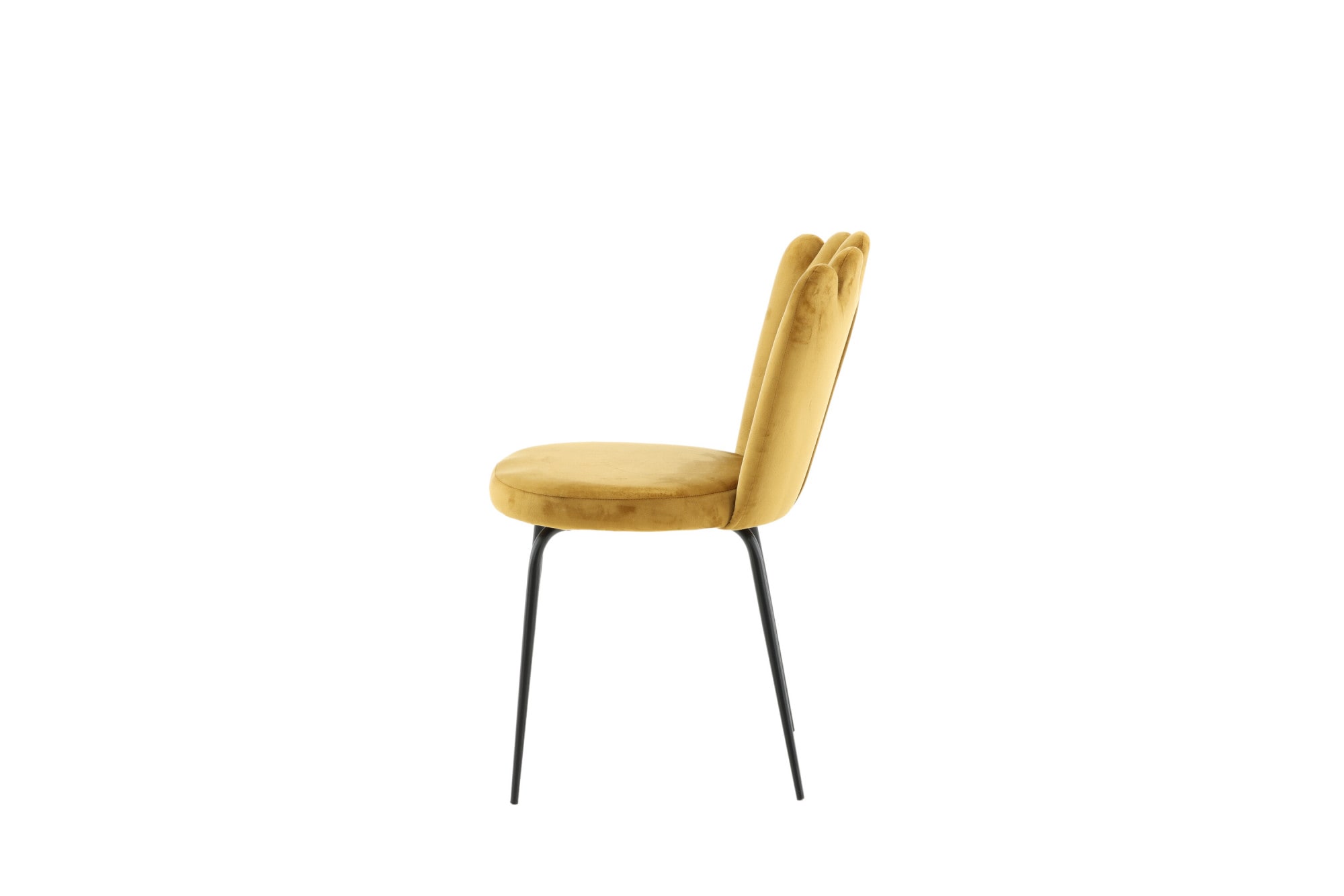 Venture Home Chaise de salle à manger () chaise rembourrée, revêtement doux, pieds en métal, aspect coquillage, plein de caractère