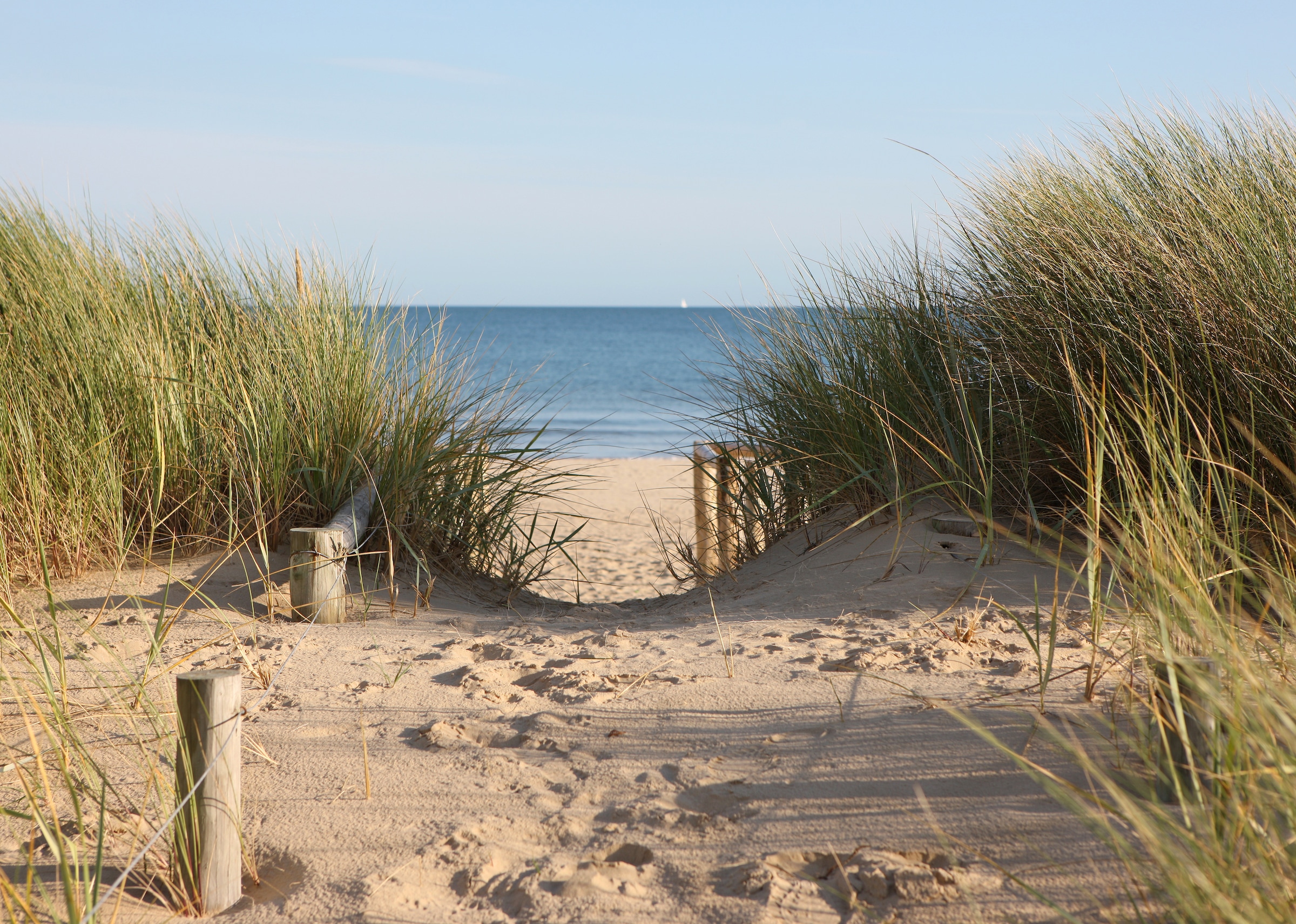 Image of Papermoon Fototapete "Dunes in Dorset" glatt