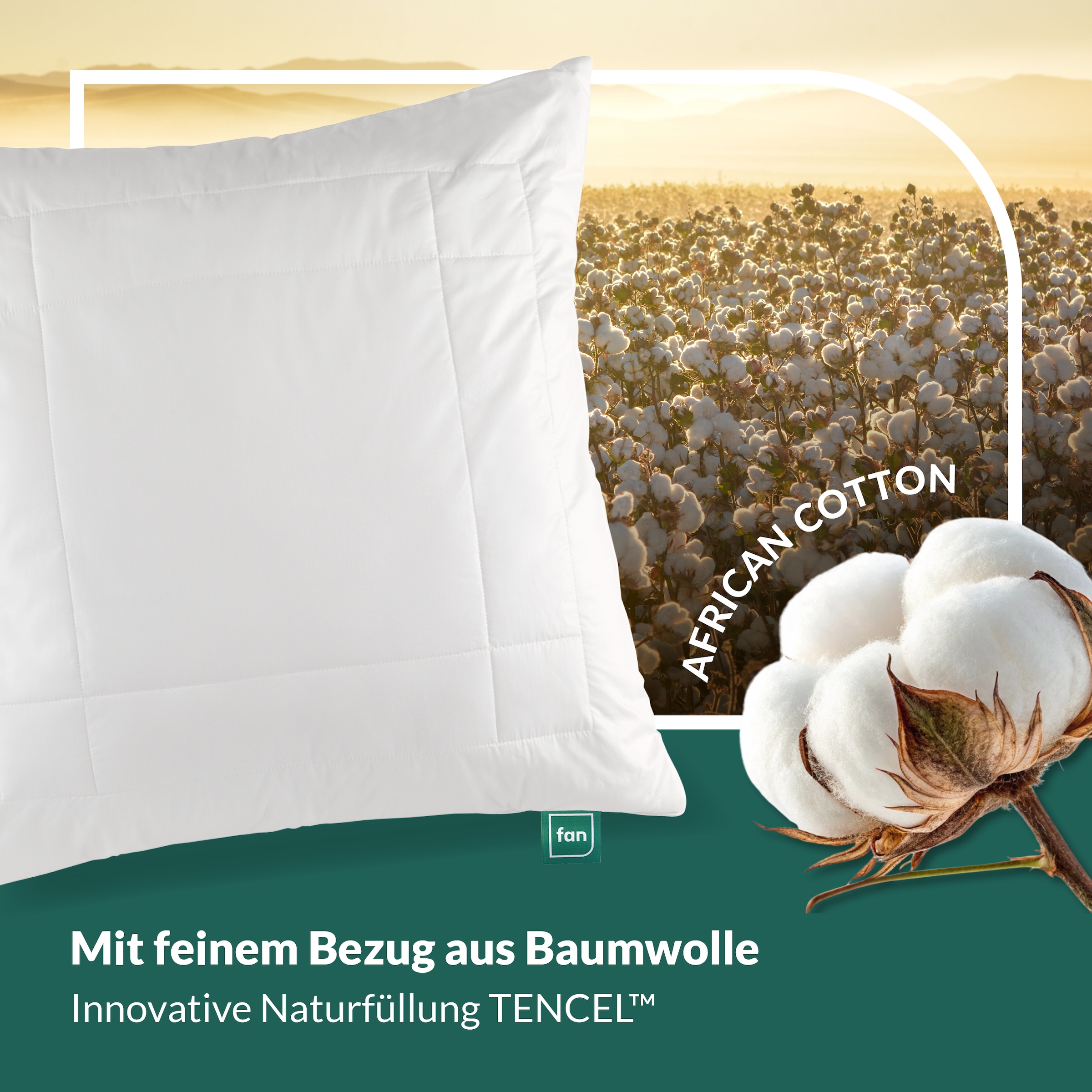 fan Oreiller en coton »African Cotton« 1 cuis tlg.