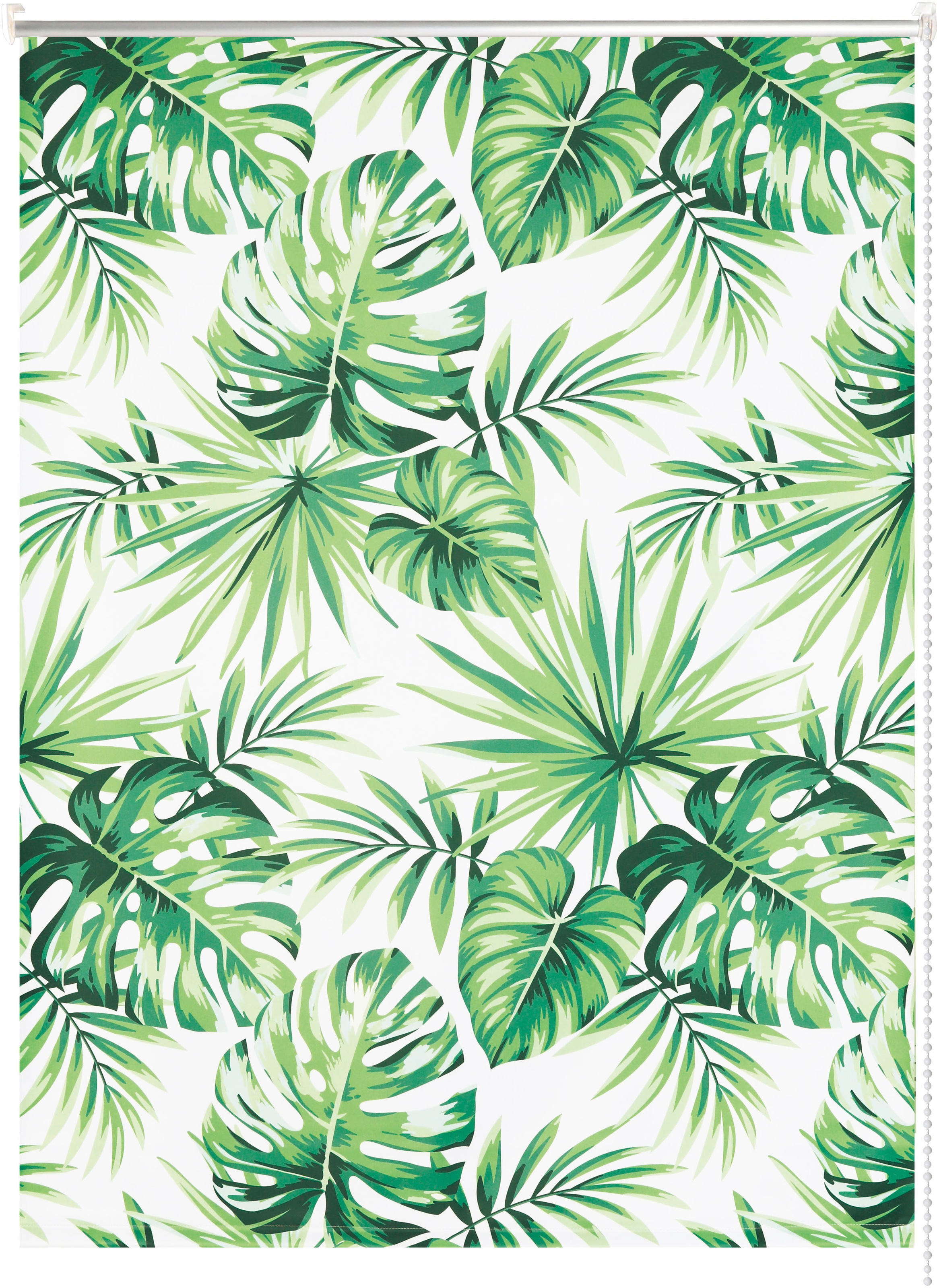 Image of my home Rollo »PFLANZEN«, verdunkelnd, ohne Bohren, verspannt, Klemmfix, Blätter bei Ackermann Versand Schweiz