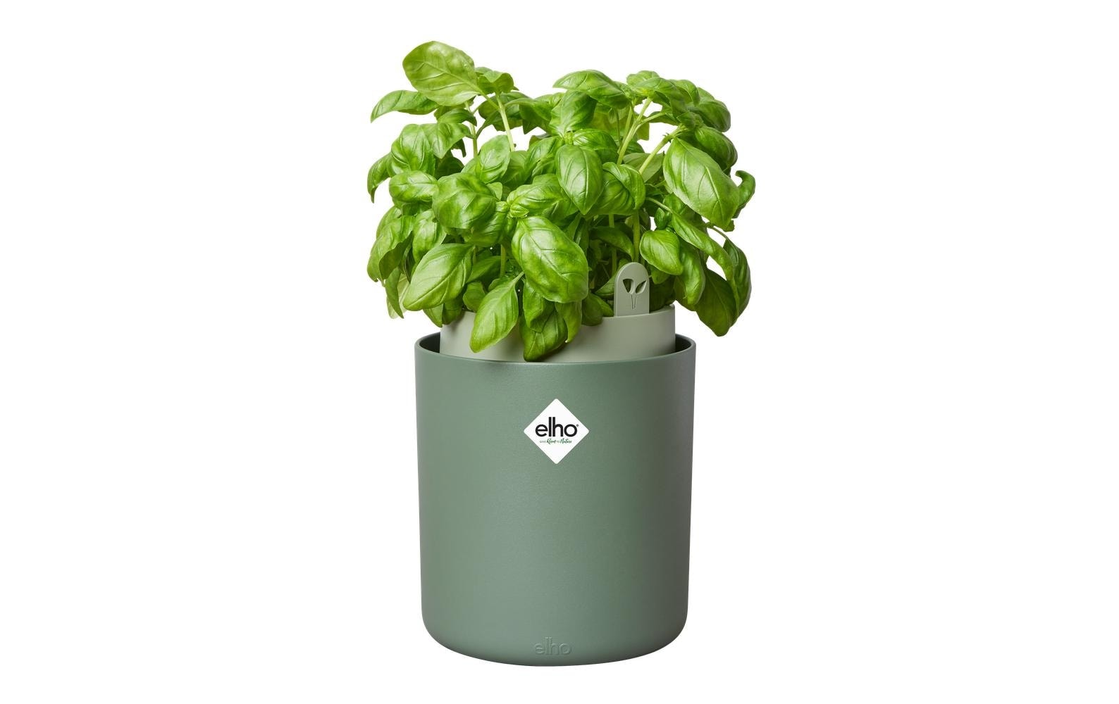 Elho Pot à herbes »Bouncy Basil 17 cm«