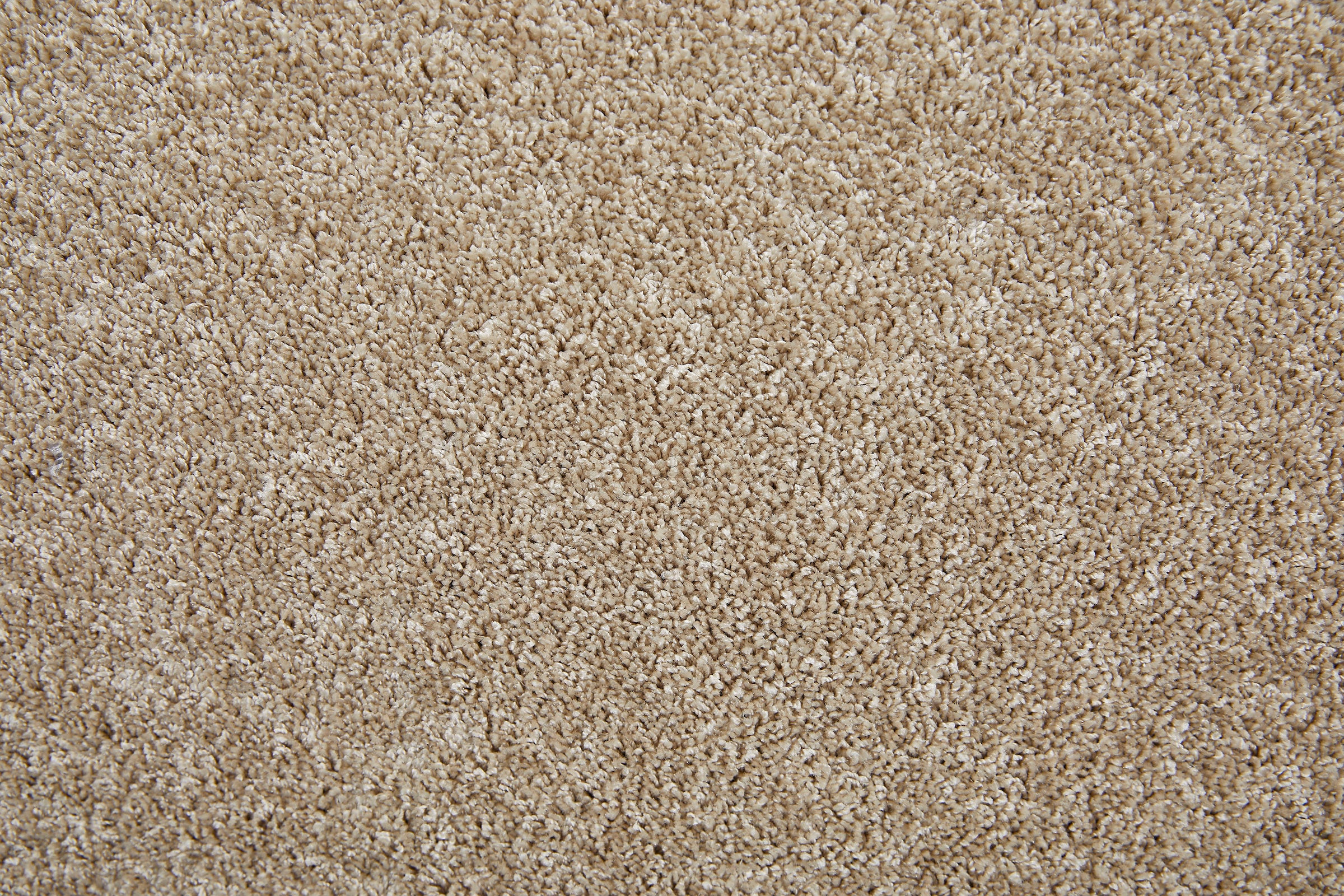 Andiamo Teppichboden »Portland, Velours, Gesamthöhe 11 mm, Made in Netherlands« rechteckig Uni Farben, Breite 400 cm, Wohnzimmer, strapazierfähig, pflegeleicht