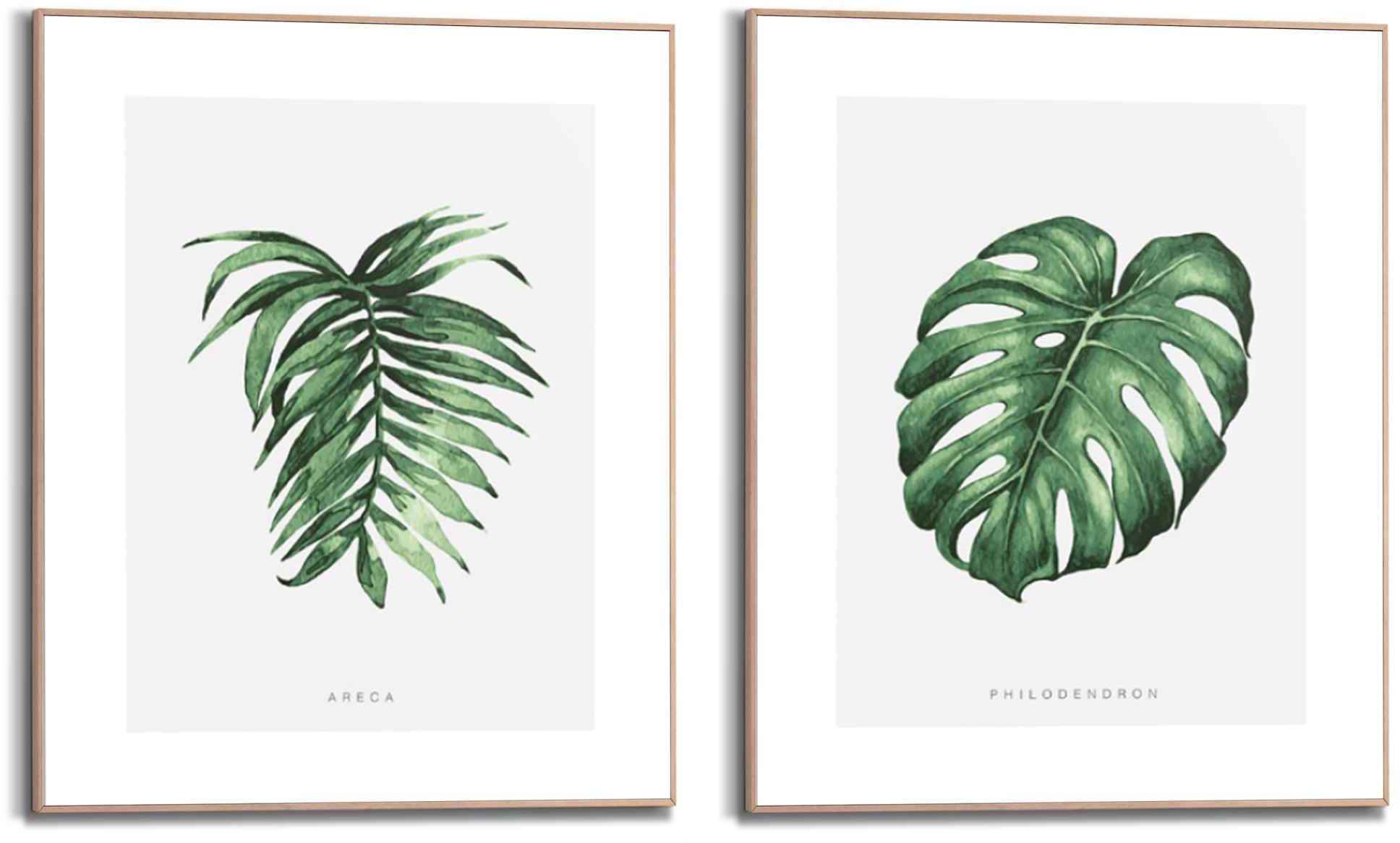 Image of Reinders! Wandbild »Wandbilder Set Naturmotiv Philodendron - Pflanze - Areca - Palme - Blätter«, Natur, (2 St.) bei Ackermann Versand Schweiz