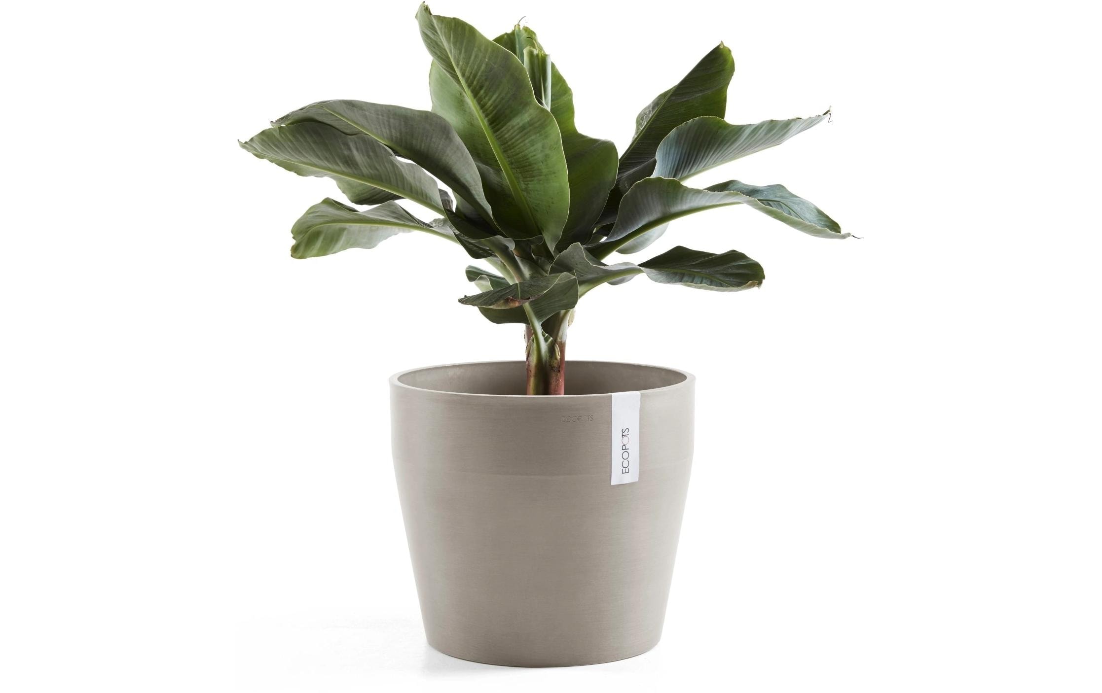 ECOPOTS Blumentopf »Sankara Ø 40 cm Taupe«
