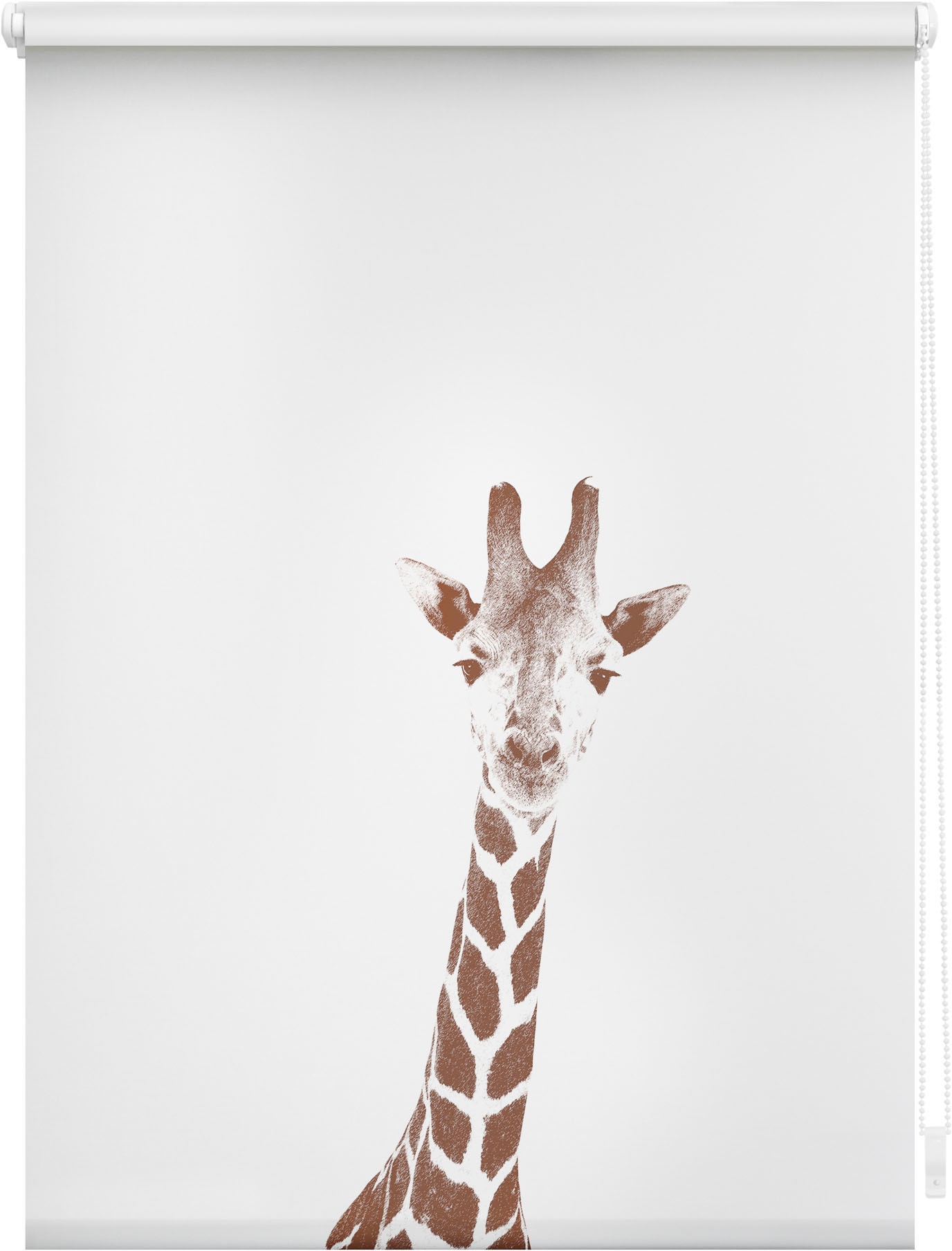 Image of LICHTBLICK ORIGINAL Seitenzugrollo "Rollo Klemmfix, ohne Bohren, blickdicht, Giraffe - Braun" blickdicht Blendschutz Sichtschutz freihängend