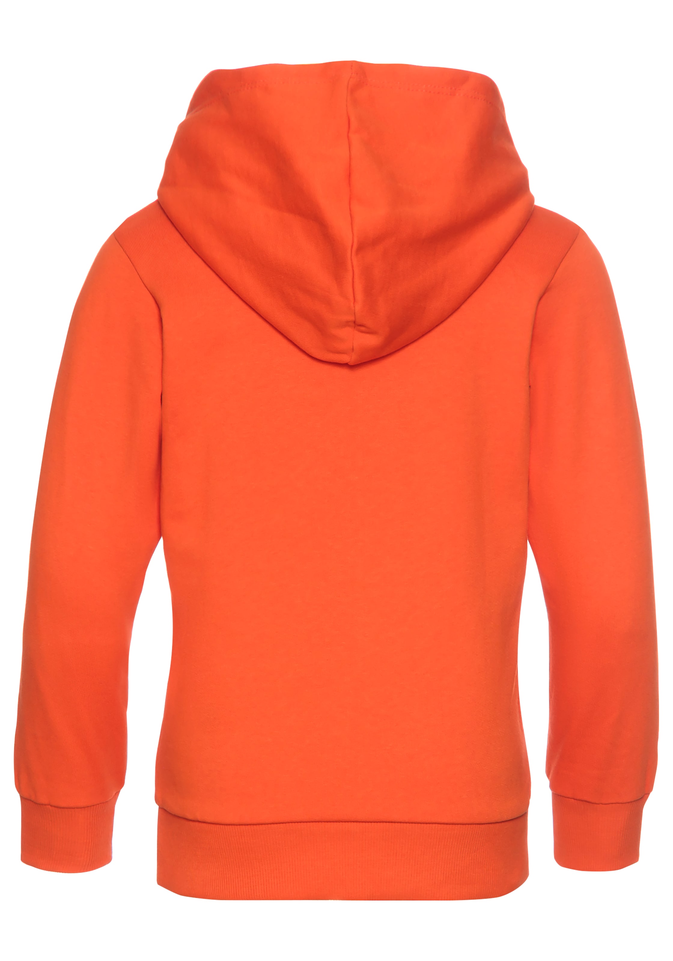 KIDSWORLD Kapuzensweatshirt »DINO«, für kleine Jungen