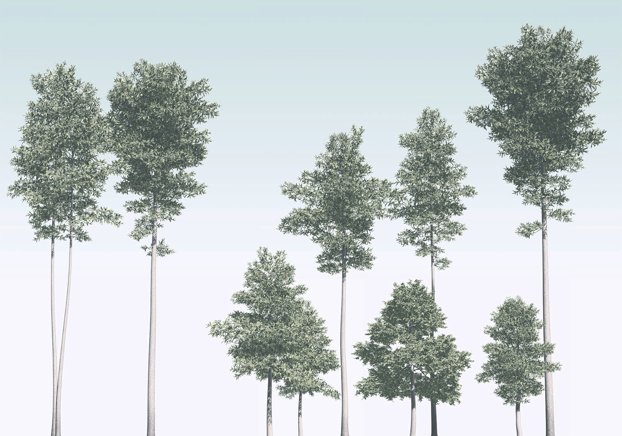 Image of Komar Vliestapete "Digitaldruck Vlies - Pines - Grösse 400 x 280 cm" bedruckt glatt Wohnzimmer, Schlafzimmer