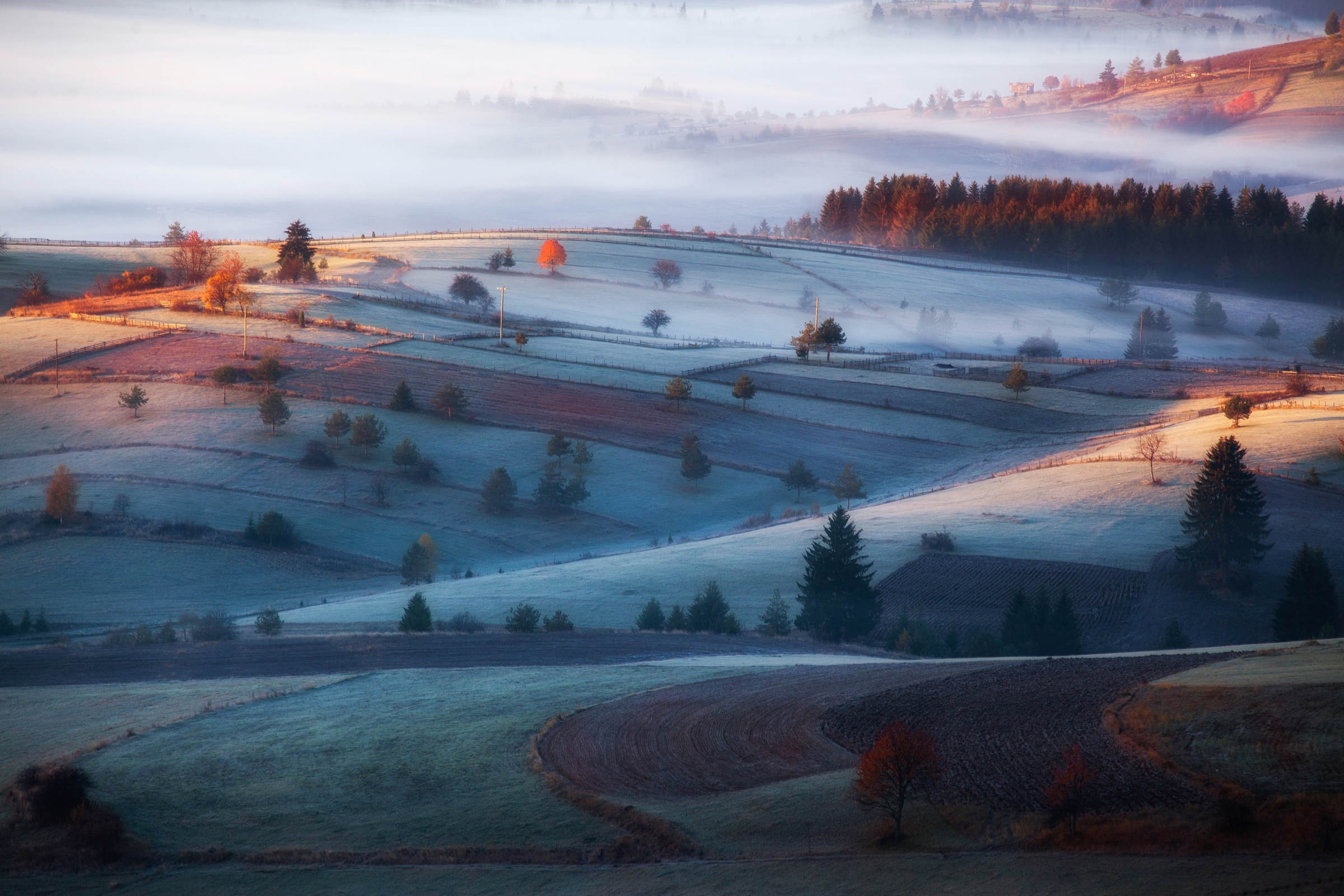 Image of Papermoon Fototapete "Photo-Art AMIR BAJRICH, NEBEL"