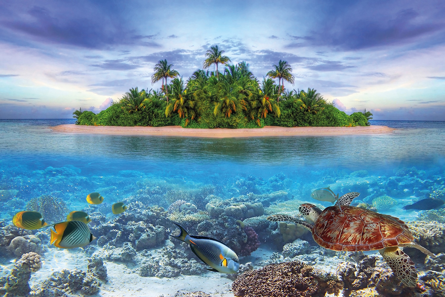 Image of Papermoon Fototapete "Marine Life Maldives" glatt