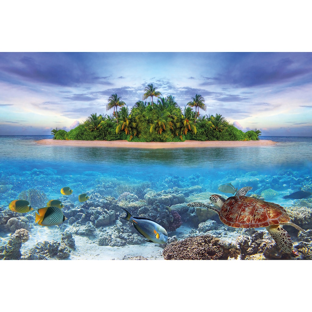 Papermoon Fototapete »Marine Life Maldives«