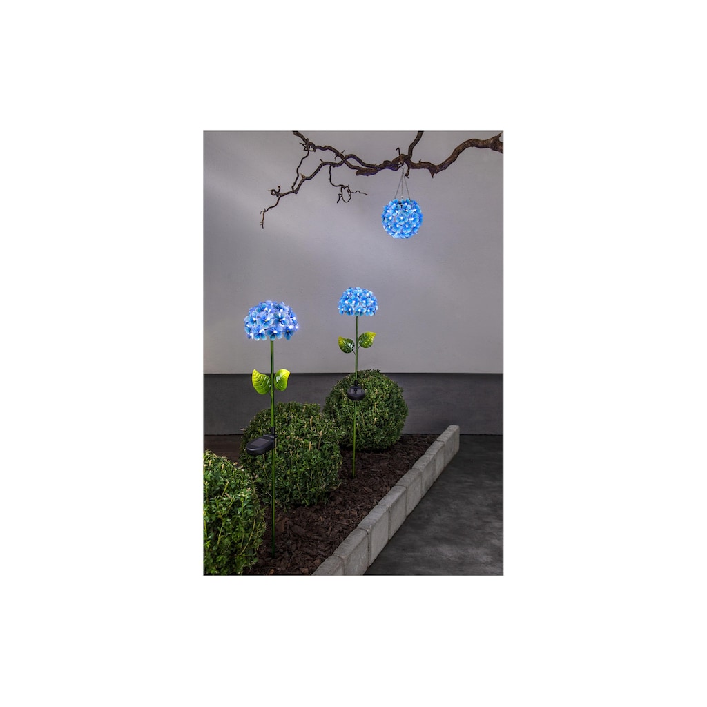 STAR TRADING Gartenleuchte »Solar Decoration Hortensia«