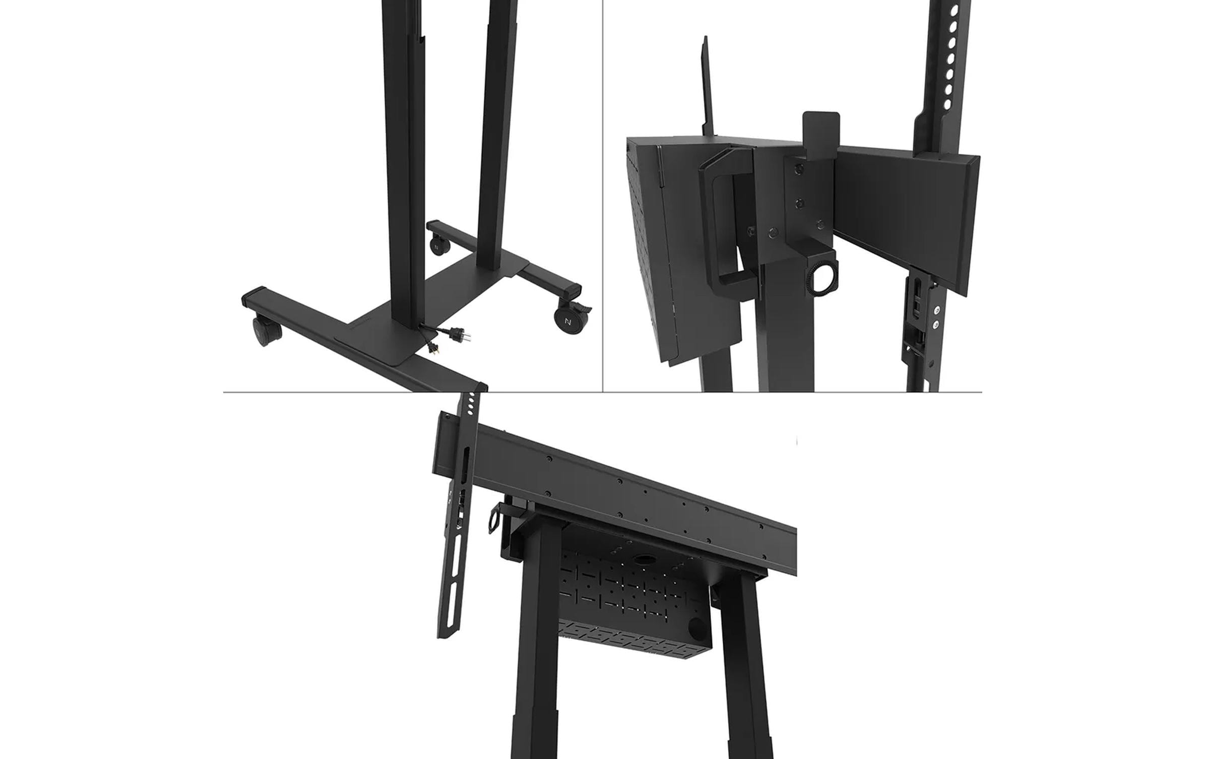 TV-Ständer »Neomounts by NewStar FL55-875BL1 Schwarz«