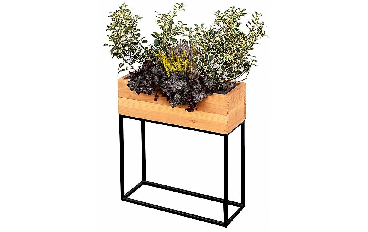 Image of Innovesta Hochbeet "mit Untergestell 60 x 20xH70 cm"