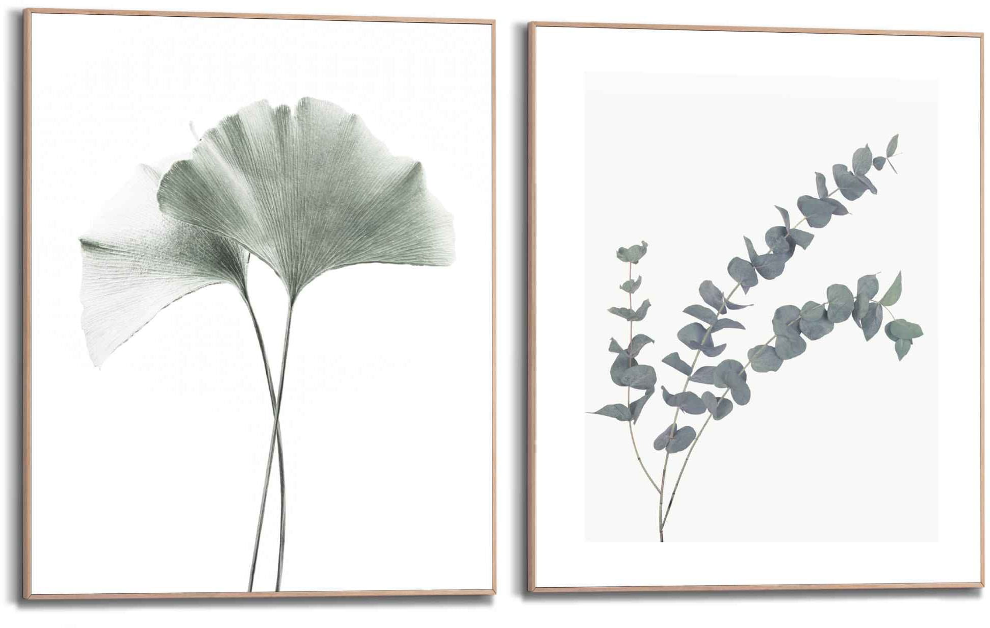 Rahmen Blätter, kaufen - Reinders! Naturmotiv (2 blatt Botanisch Pflanze«, Ginko mit St.), - Bild bequem »Eukalyptus