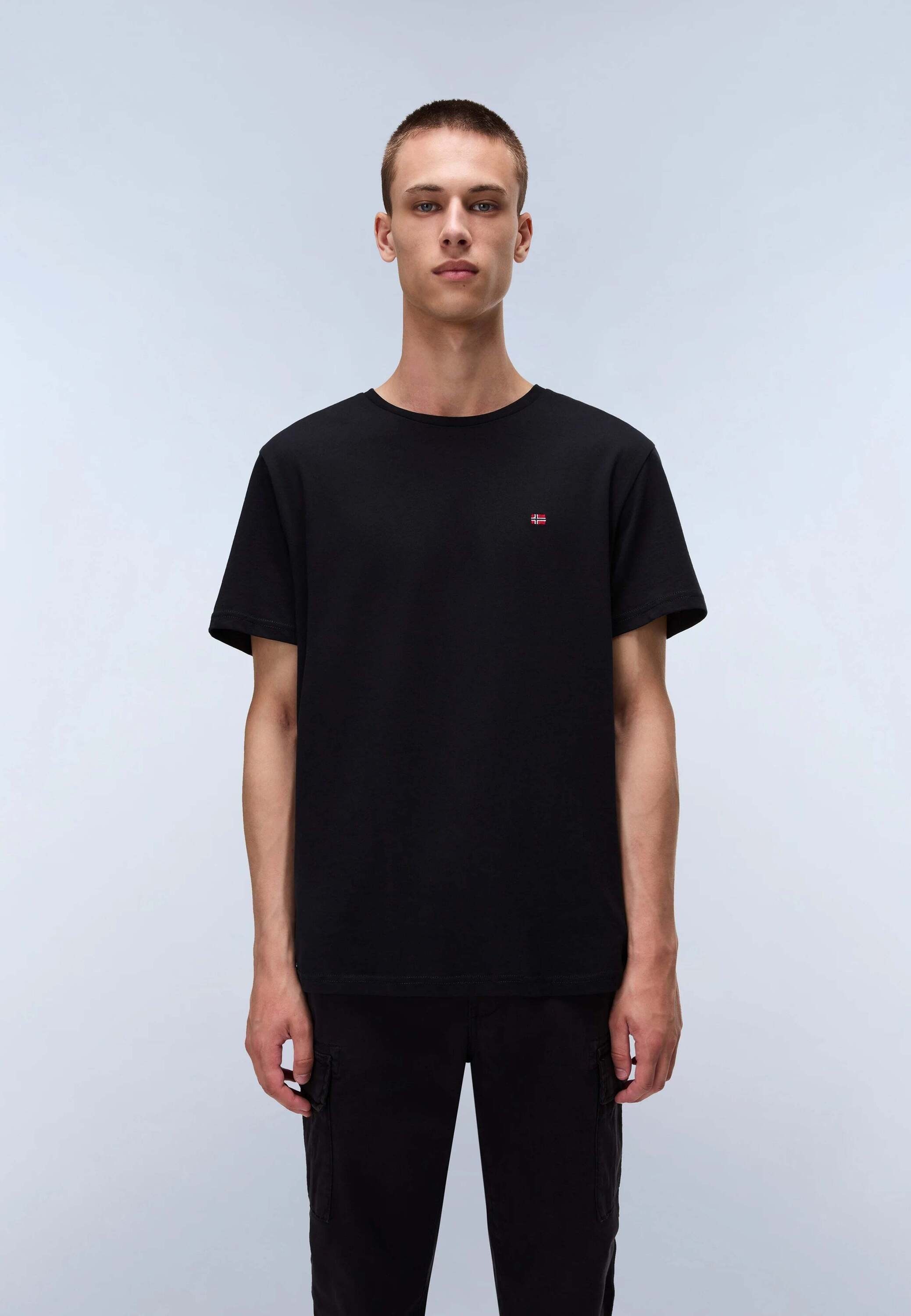 Napapijri T-Shirt »Napapijri T-Shirt SALIS SS«
