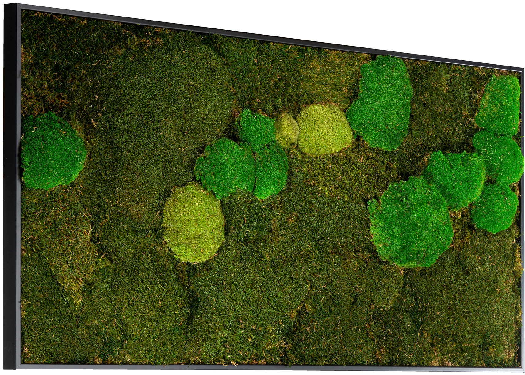 Bönninghoff Bild mit Rahmen »Mixmoos« Natur 1 Stk. tlg. jedes Bild ein Unikat, BxH: 120x60 cm